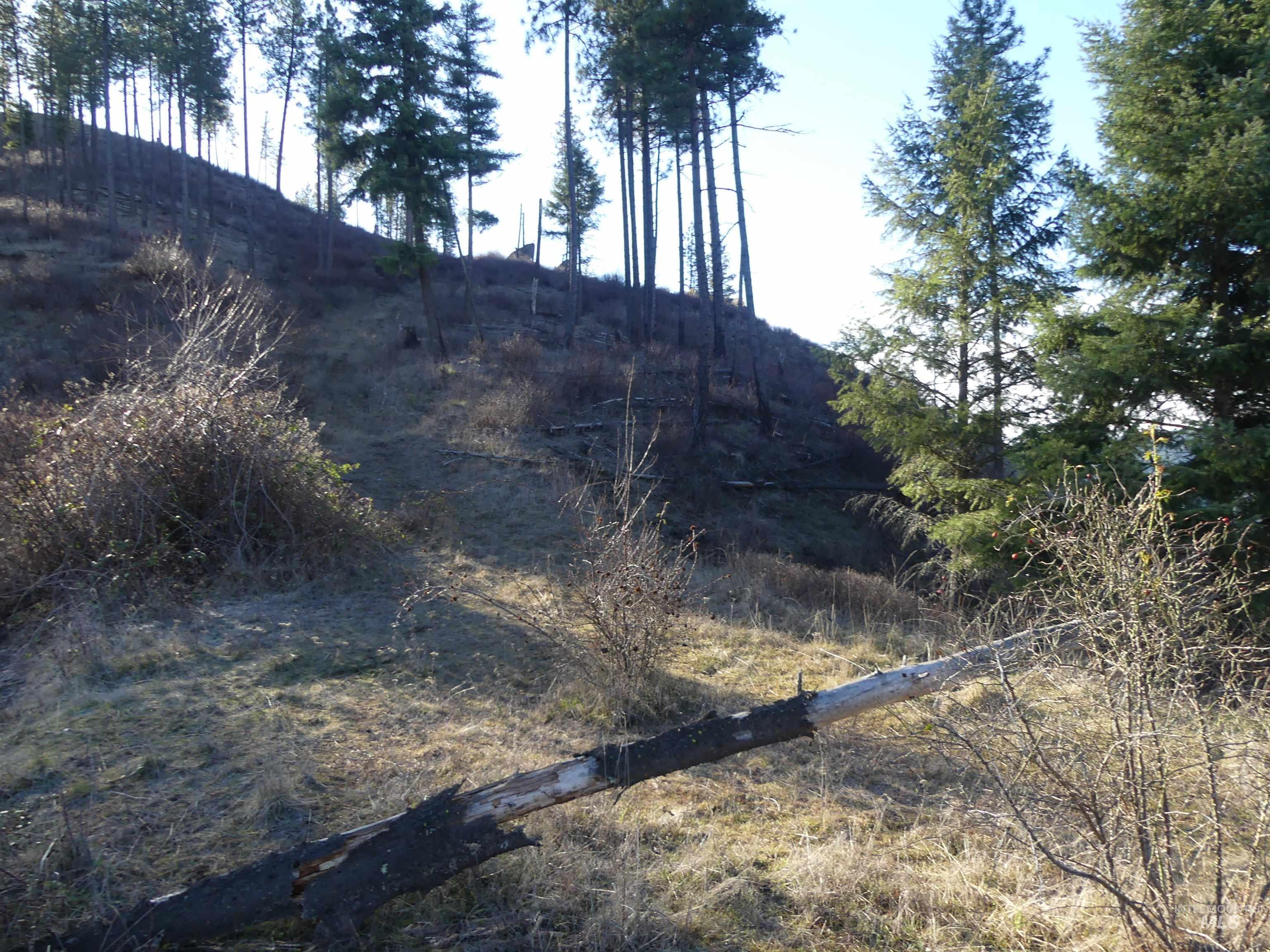 1408 Carrot Ridge Road, Greer, Idaho 83536-0000, Land For Sale, Price $1,378,000, 98982852