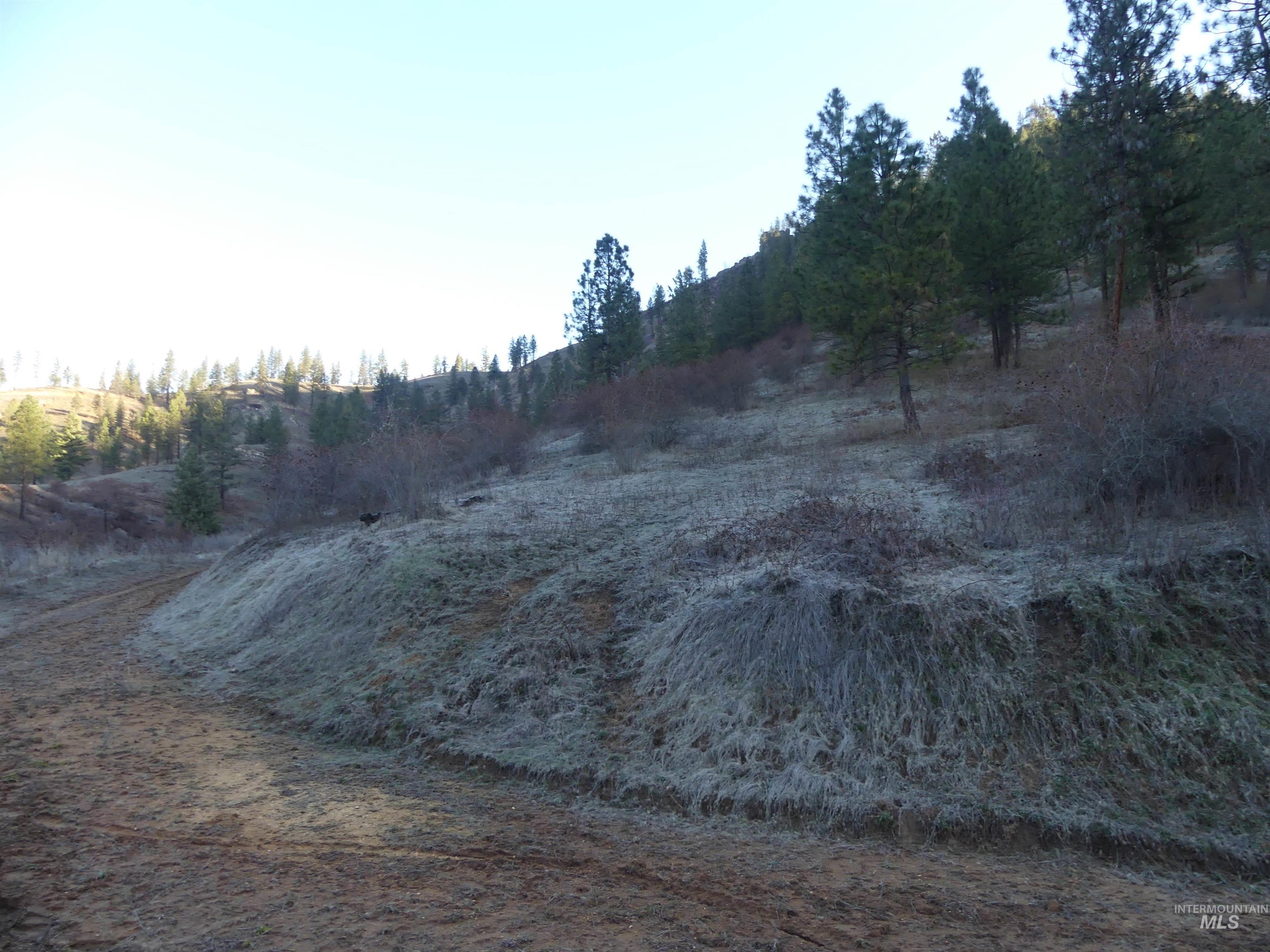1404 Carrot Ridge Road, Greer, Idaho 83536-0000, Land For Sale, Price $1,378,000, 98982852