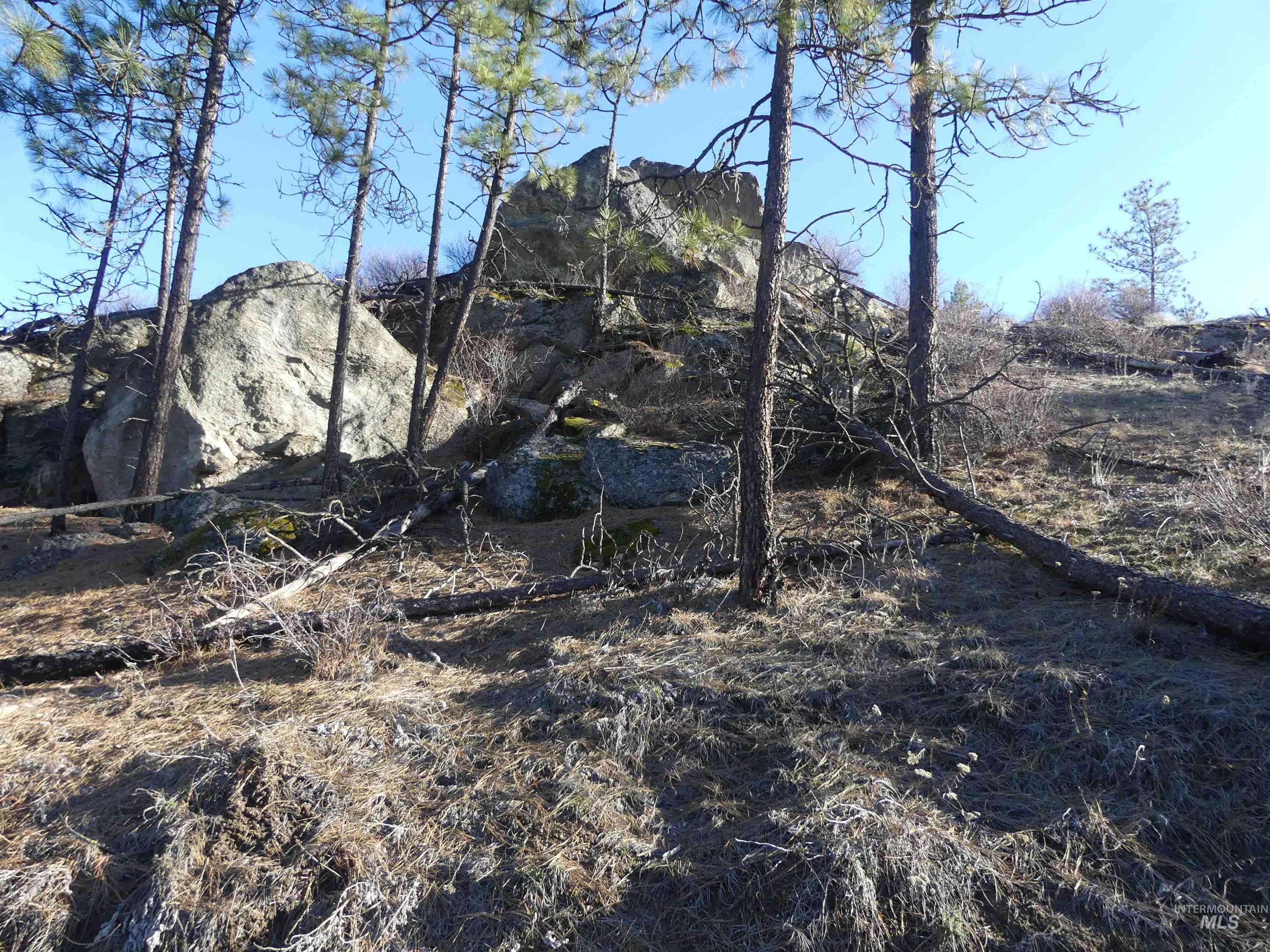 1408 Carrot Ridge Road, Greer, Idaho 83536-0000, Land For Sale, Price $1,378,000, 98982852