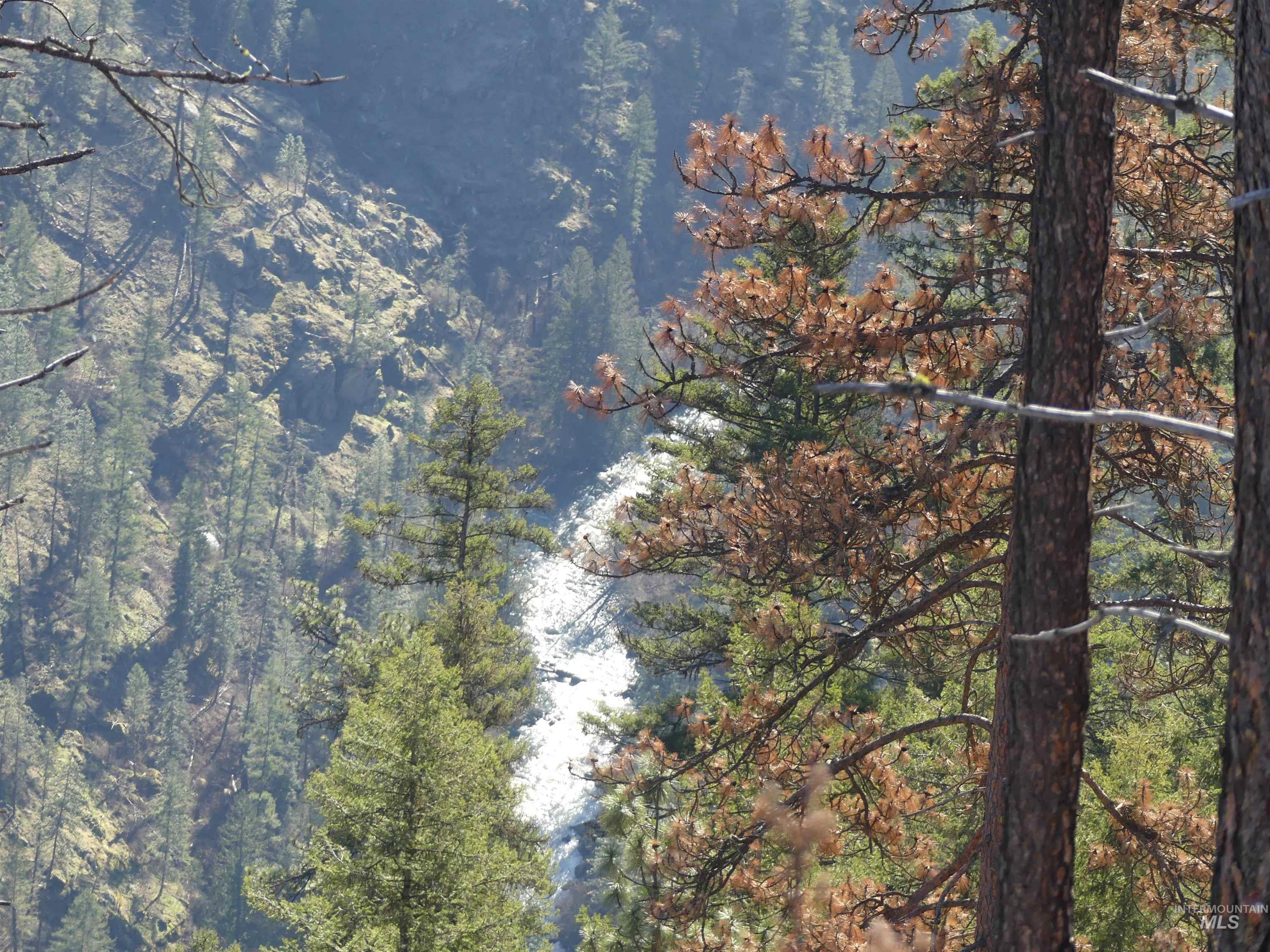 1408 Carrot Ridge Road, Greer, Idaho 83536-0000, Land For Sale, Price $1,378,000, 98982852