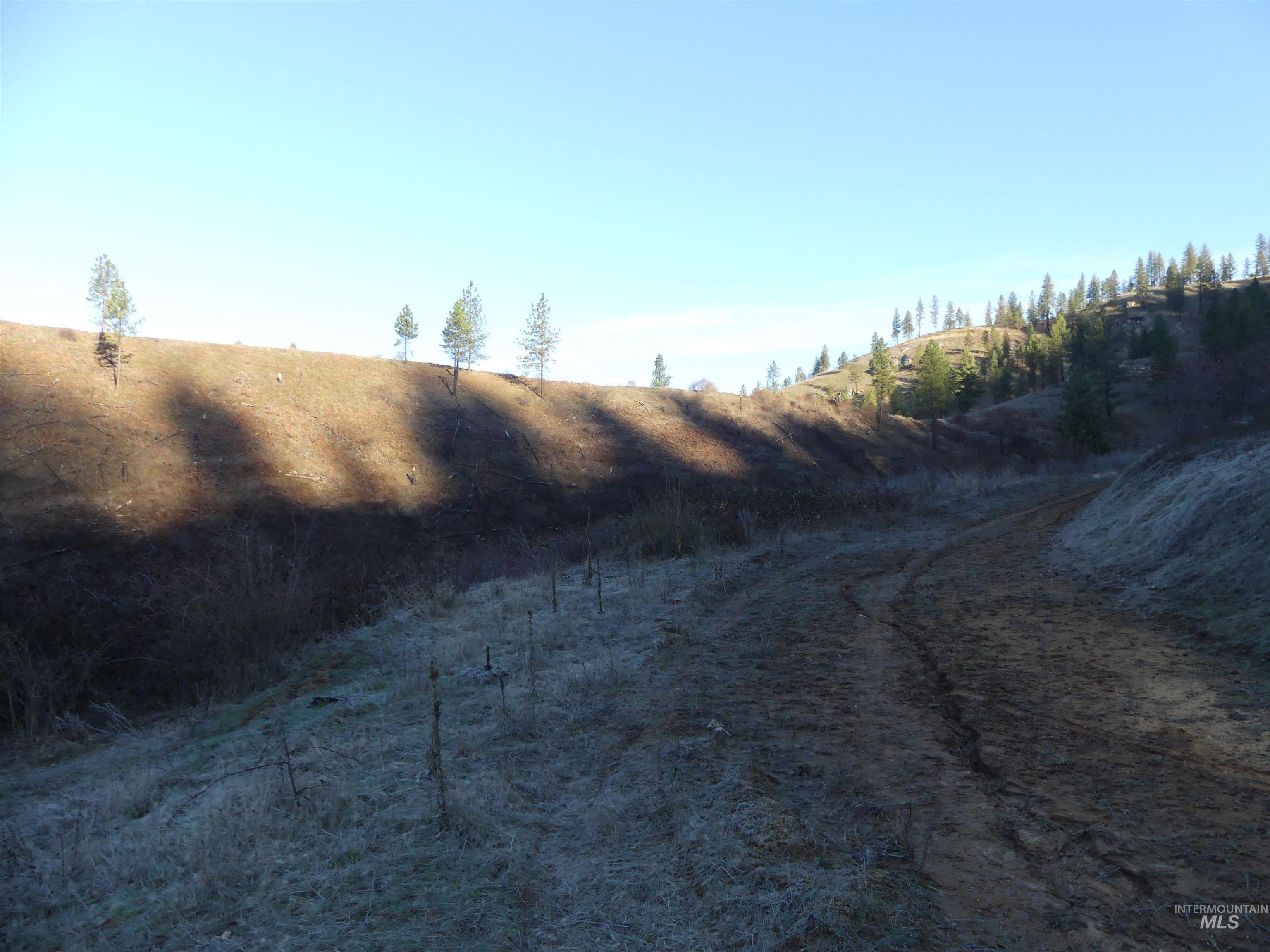 1404 Carrot Ridge Road, Greer, Idaho 83536-0000, Land For Sale, Price $1,378,000, 98982852