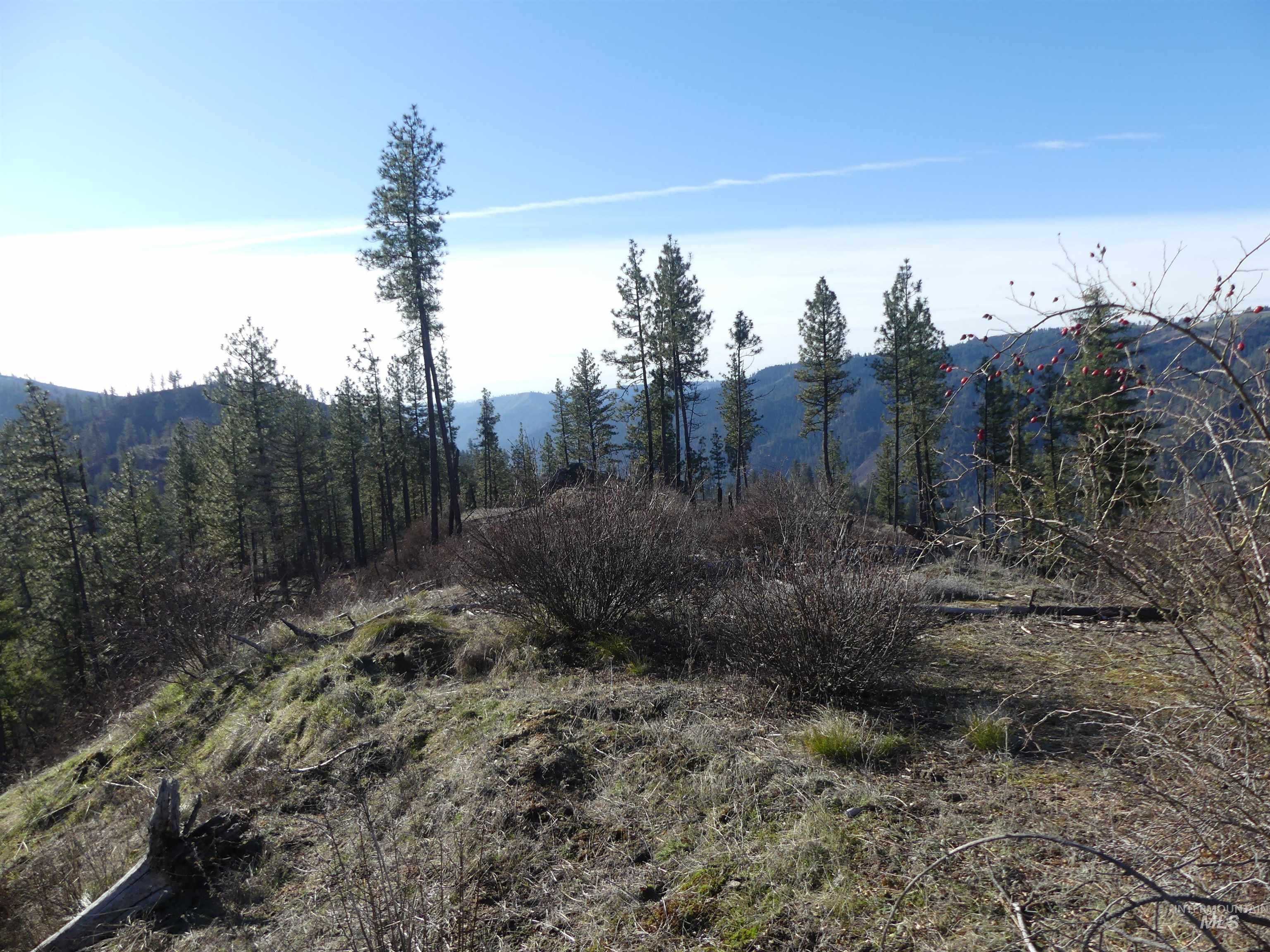 1408 Carrot Ridge Road, Greer, Idaho 83536-0000, Land For Sale, Price $1,378,000, 98982852