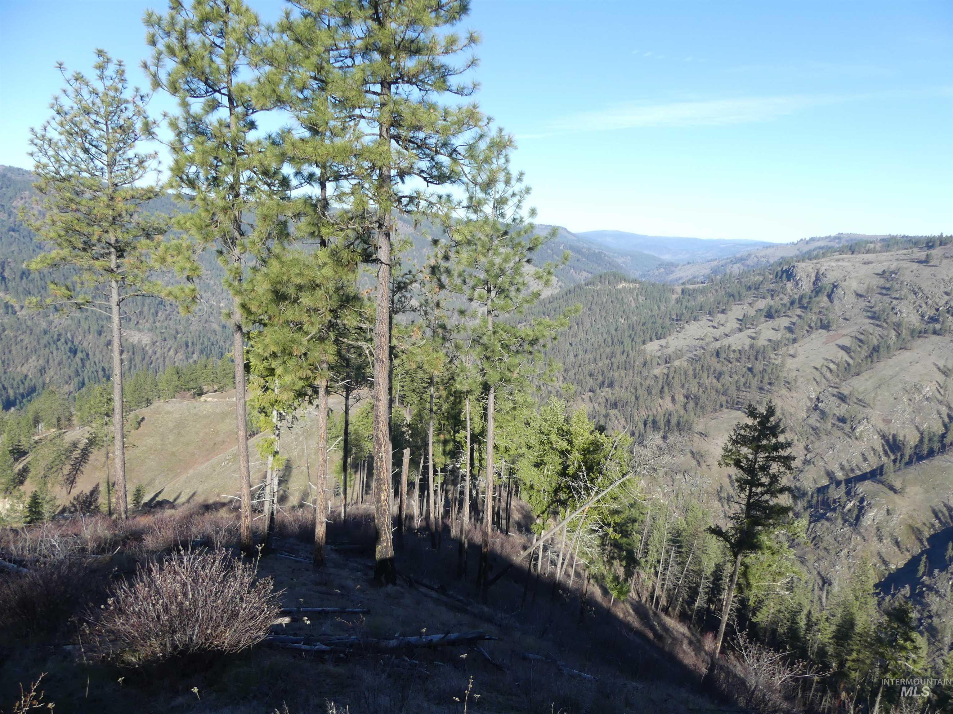 1408 Carrot Ridge Road, Greer, Idaho 83536-0000, Land For Sale, Price $1,378,000, 98982852