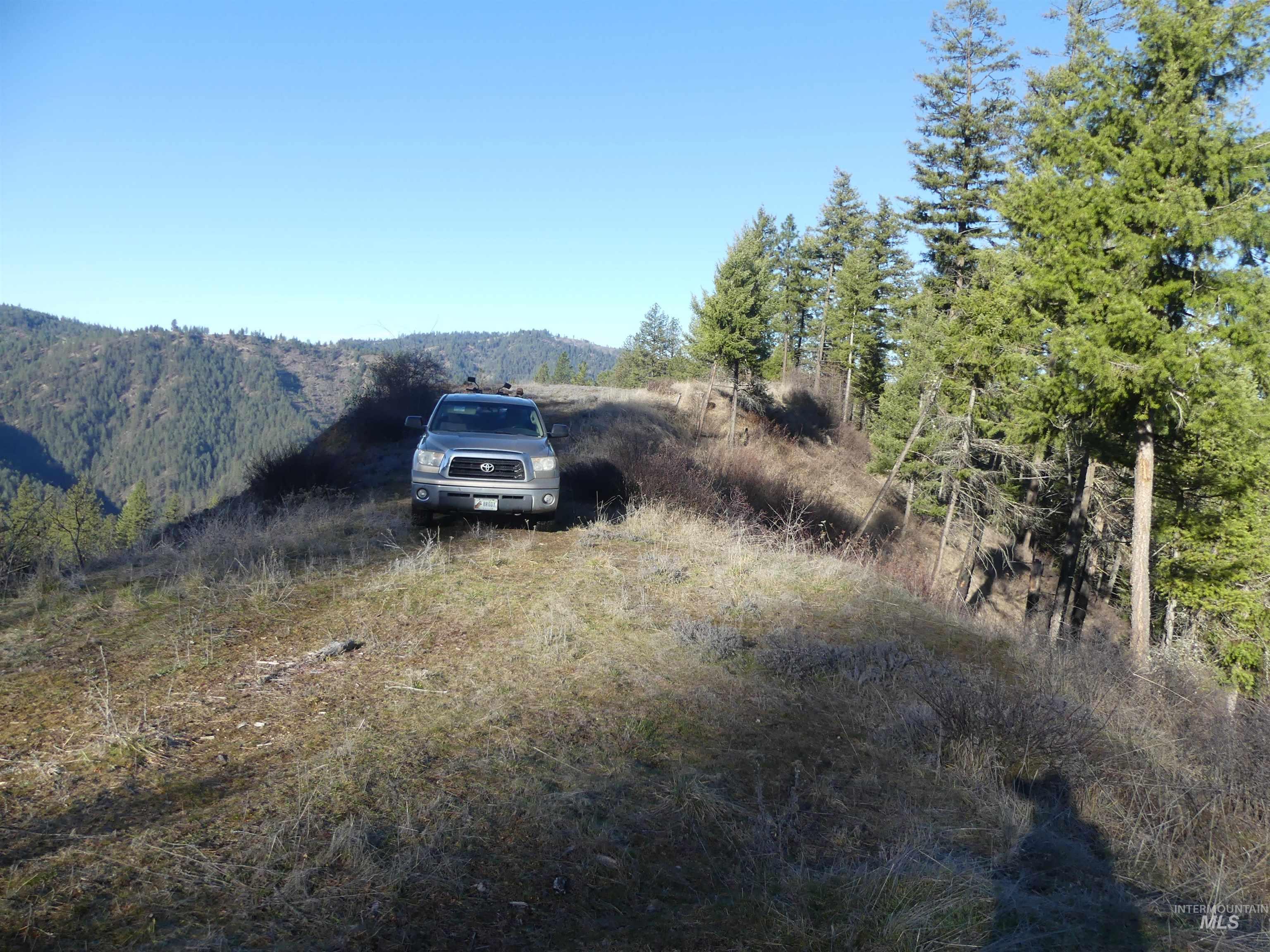 1404 Carrot Ridge Road, Greer, Idaho 83536-0000, Land For Sale, Price $1,378,000, 98982852