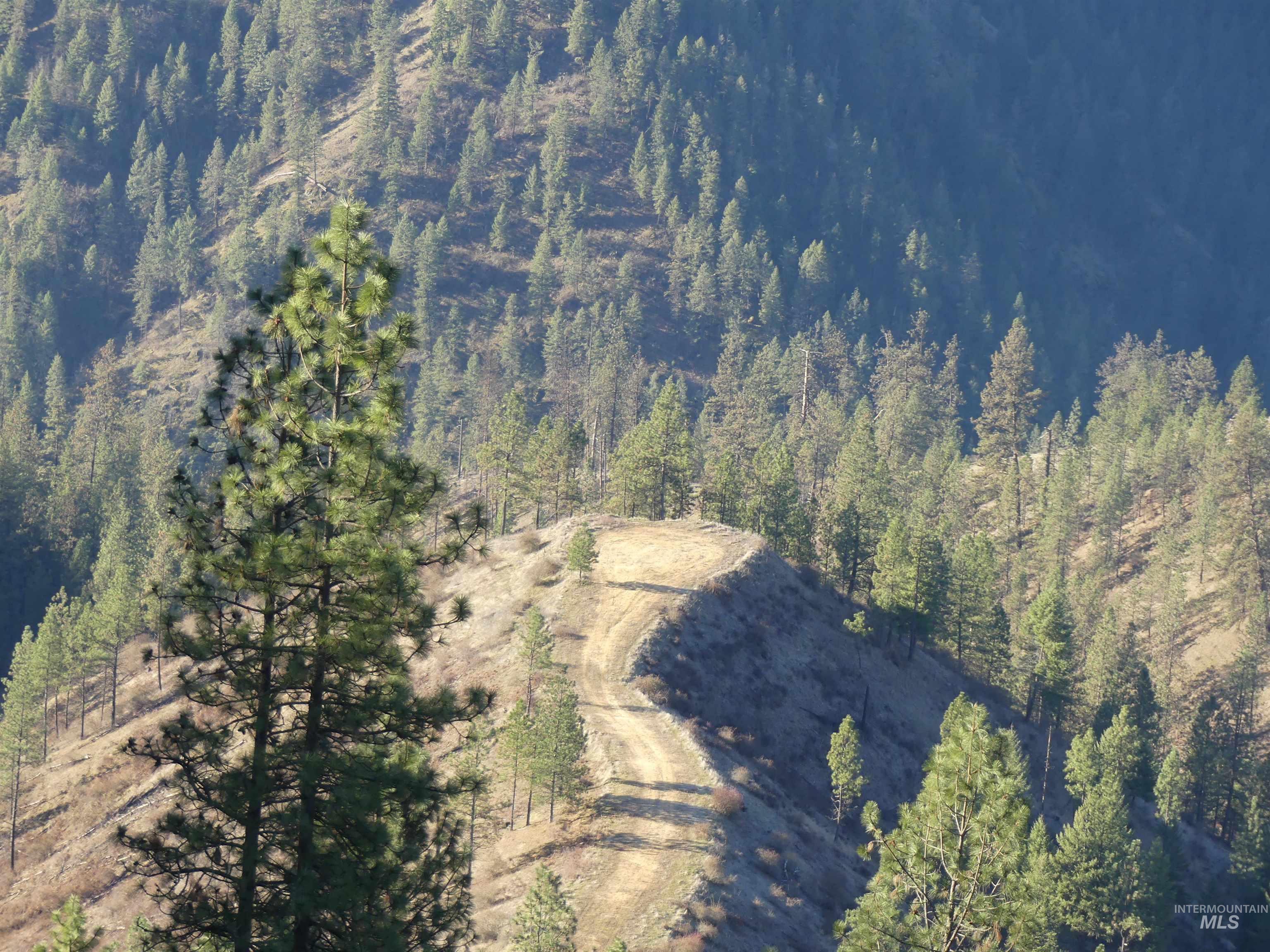 1404 Carrot Ridge Road, Greer, Idaho 83536-0000, Land For Sale, Price $1,378,000, 98982852