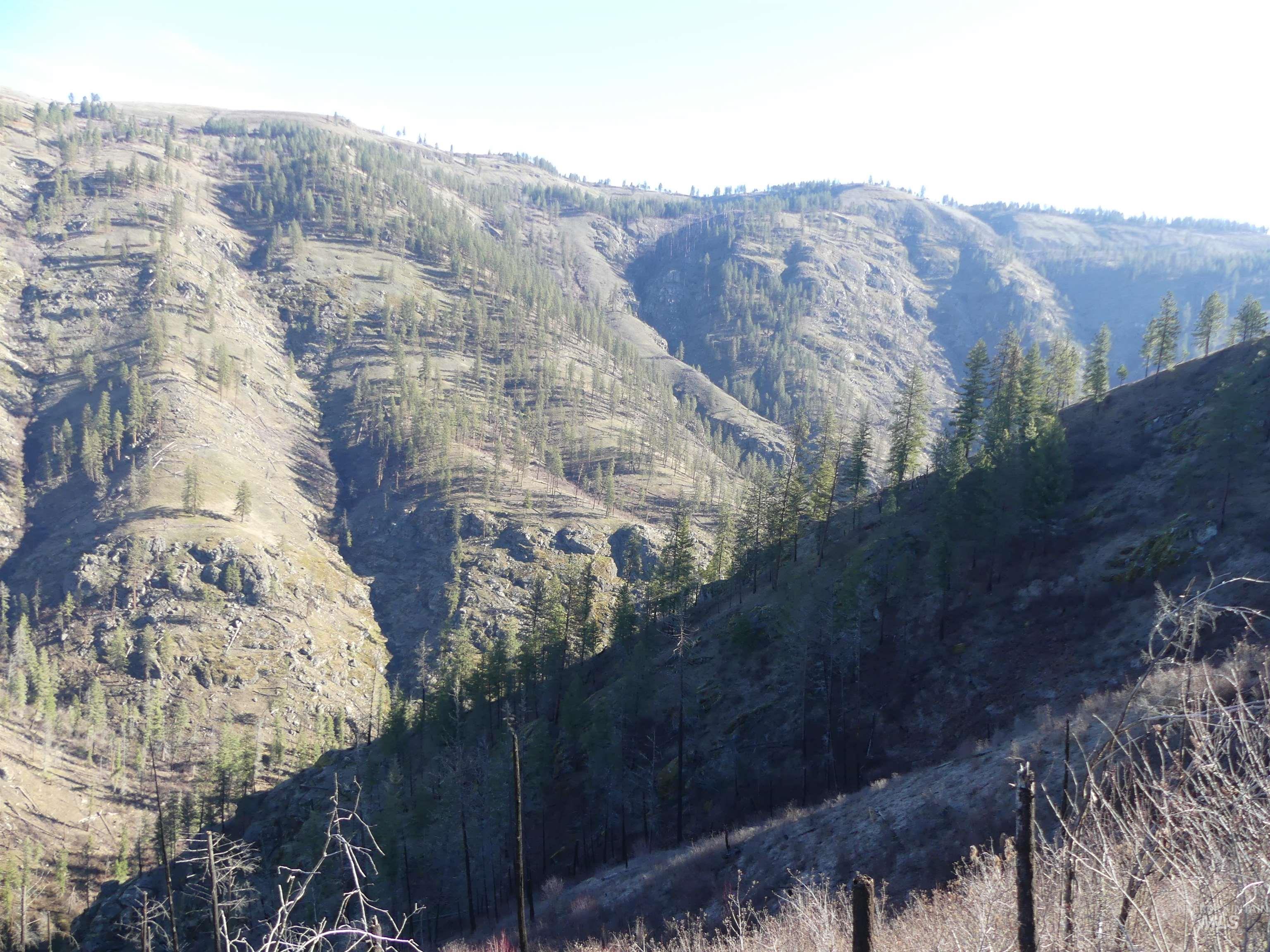 1408 Carrot Ridge Road, Greer, Idaho 83536-0000, Land For Sale, Price $1,378,000, 98982852