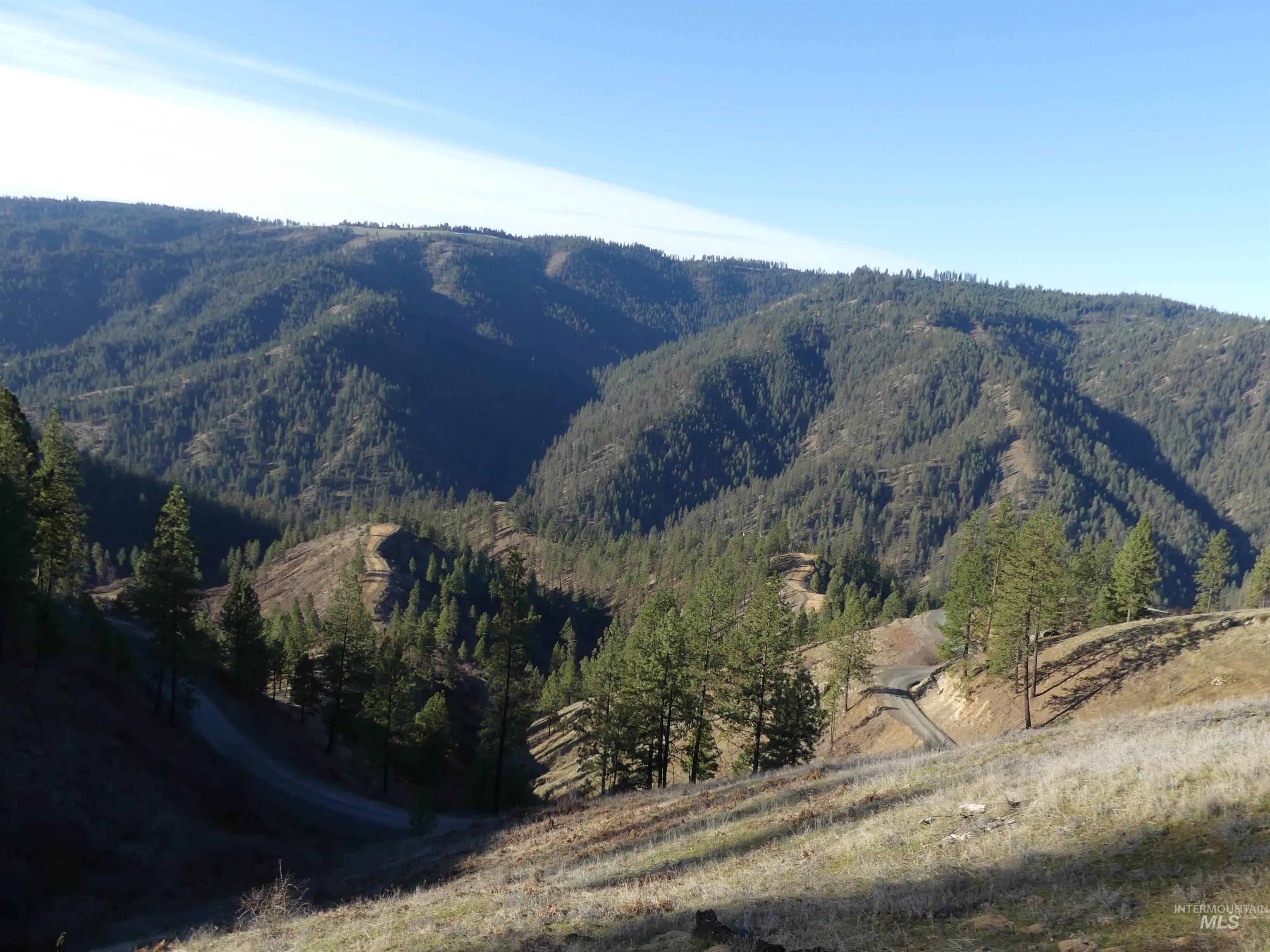 1404 Carrot Ridge Road, Greer, Idaho 83536-0000, Land For Sale, Price $1,378,000, 98982852