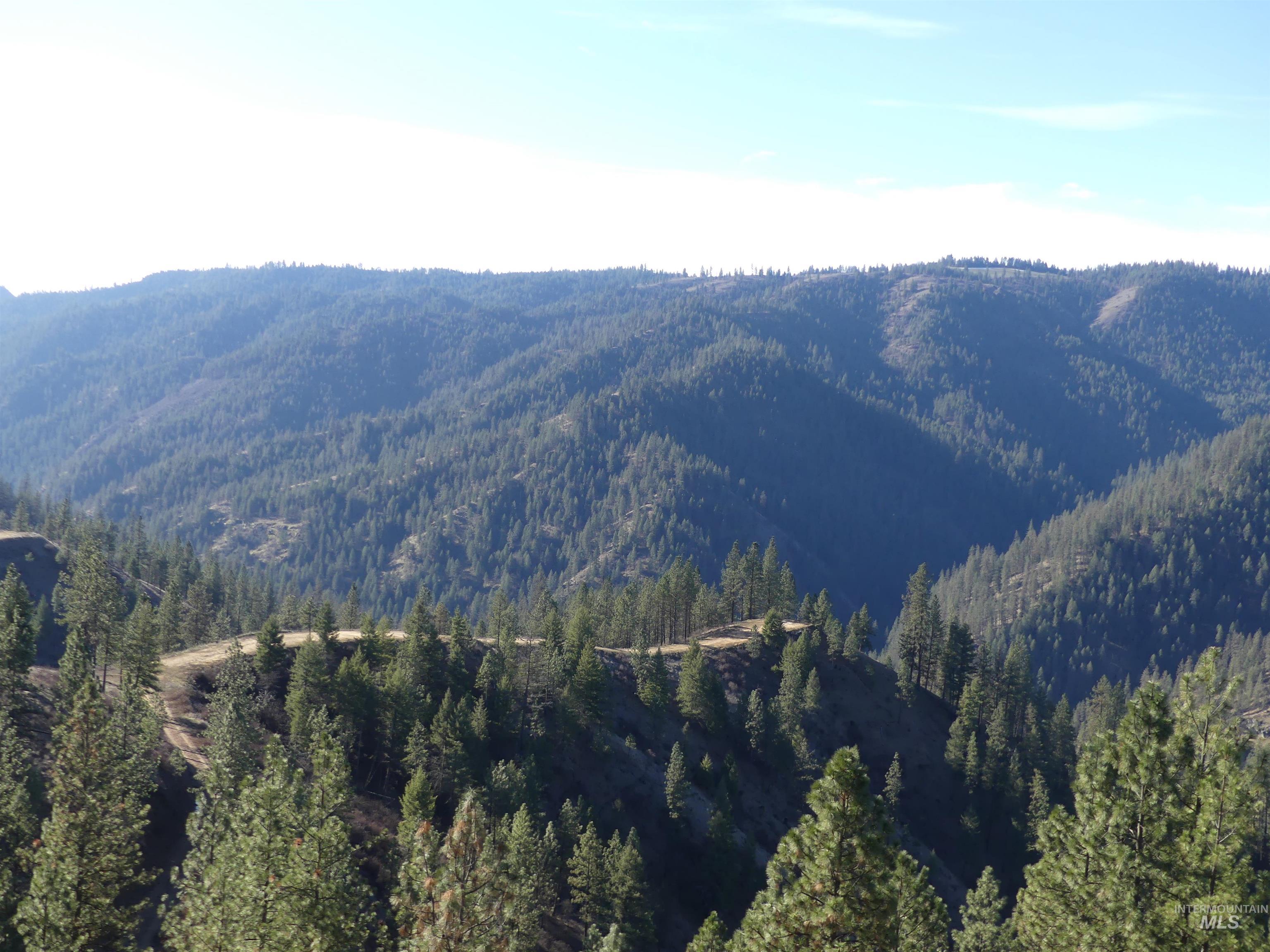 1408 Carrot Ridge Road, Greer, Idaho 83536-0000, Land For Sale, Price $1,378,000, 98982852