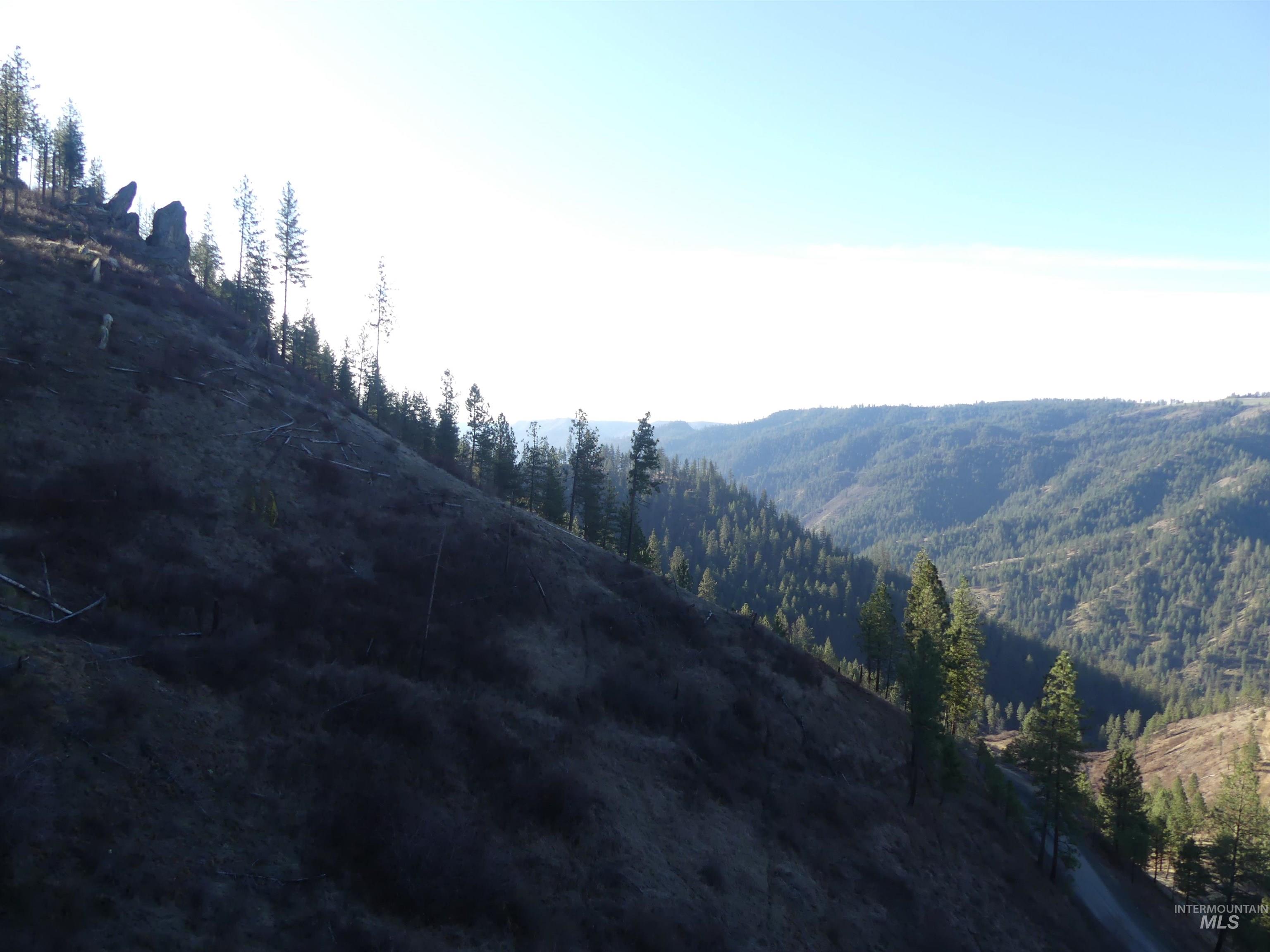 1404 Carrot Ridge Road, Greer, Idaho 83536-0000, Land For Sale, Price $1,378,000, 98982852