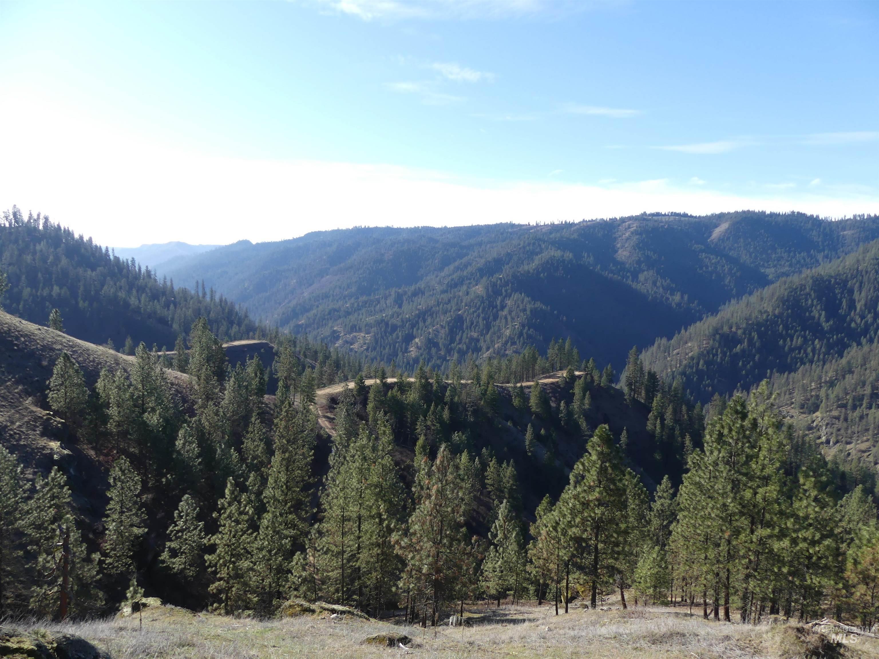 1408 Carrot Ridge Road, Greer, Idaho 83536-0000, Land For Sale, Price $1,378,000, 98982852