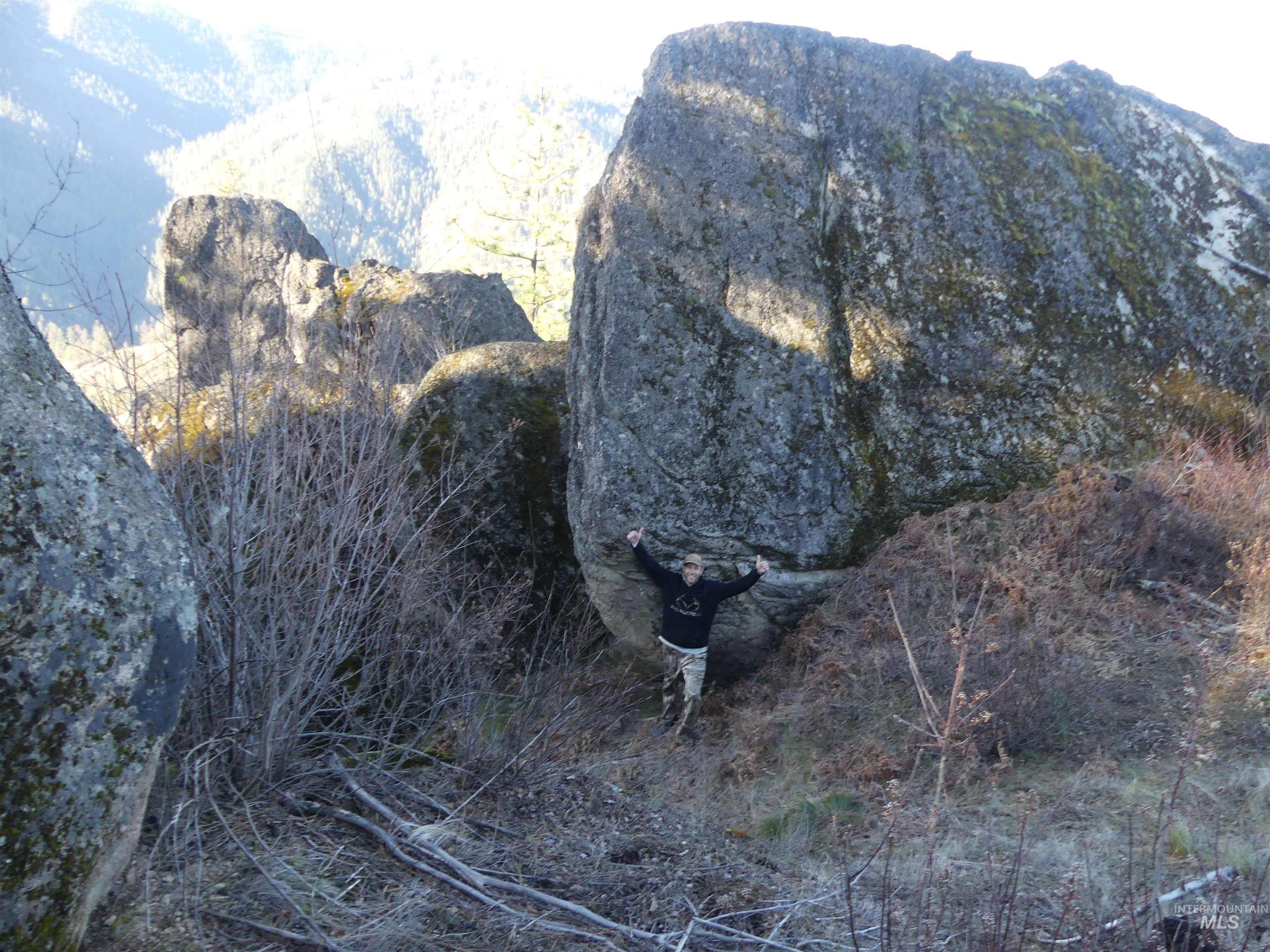 1404 Carrot Ridge Road, Greer, Idaho 83536-0000, Land For Sale, Price $1,378,000, 98982852