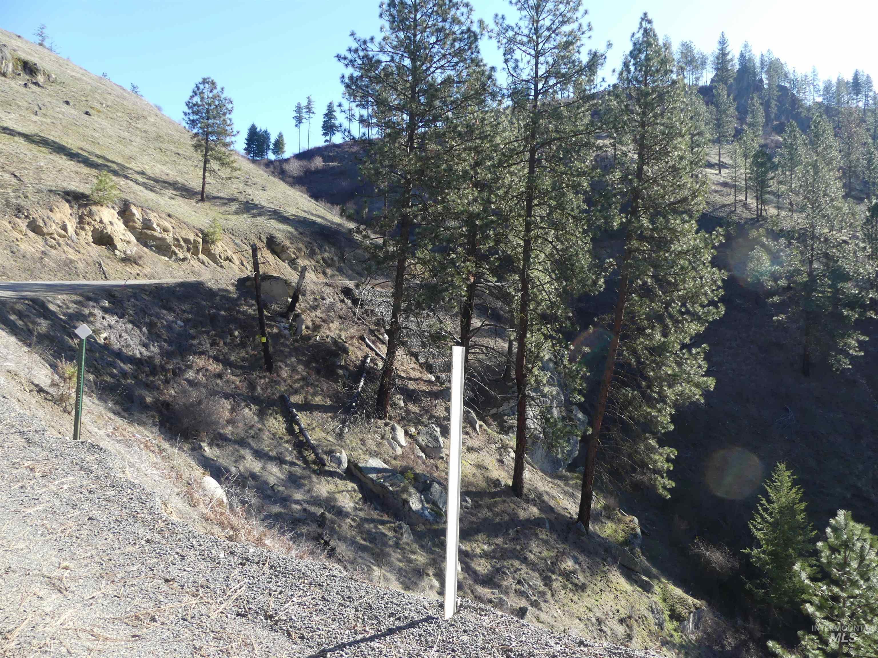 1408 Carrot Ridge Road, Greer, Idaho 83536-0000, Land For Sale, Price $1,378,000, 98982852