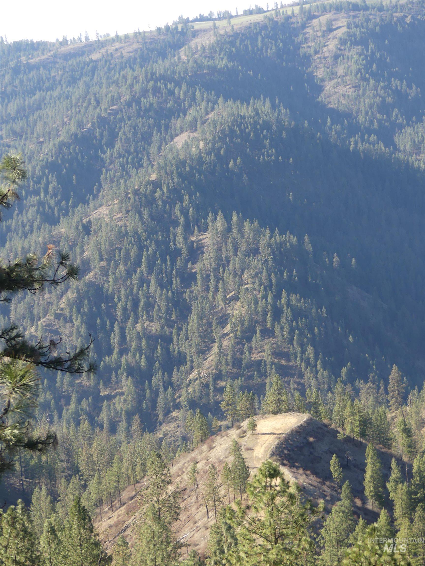 1408 Carrot Ridge Road, Greer, Idaho 83536-0000, Land For Sale, Price $1,378,000, 98982852