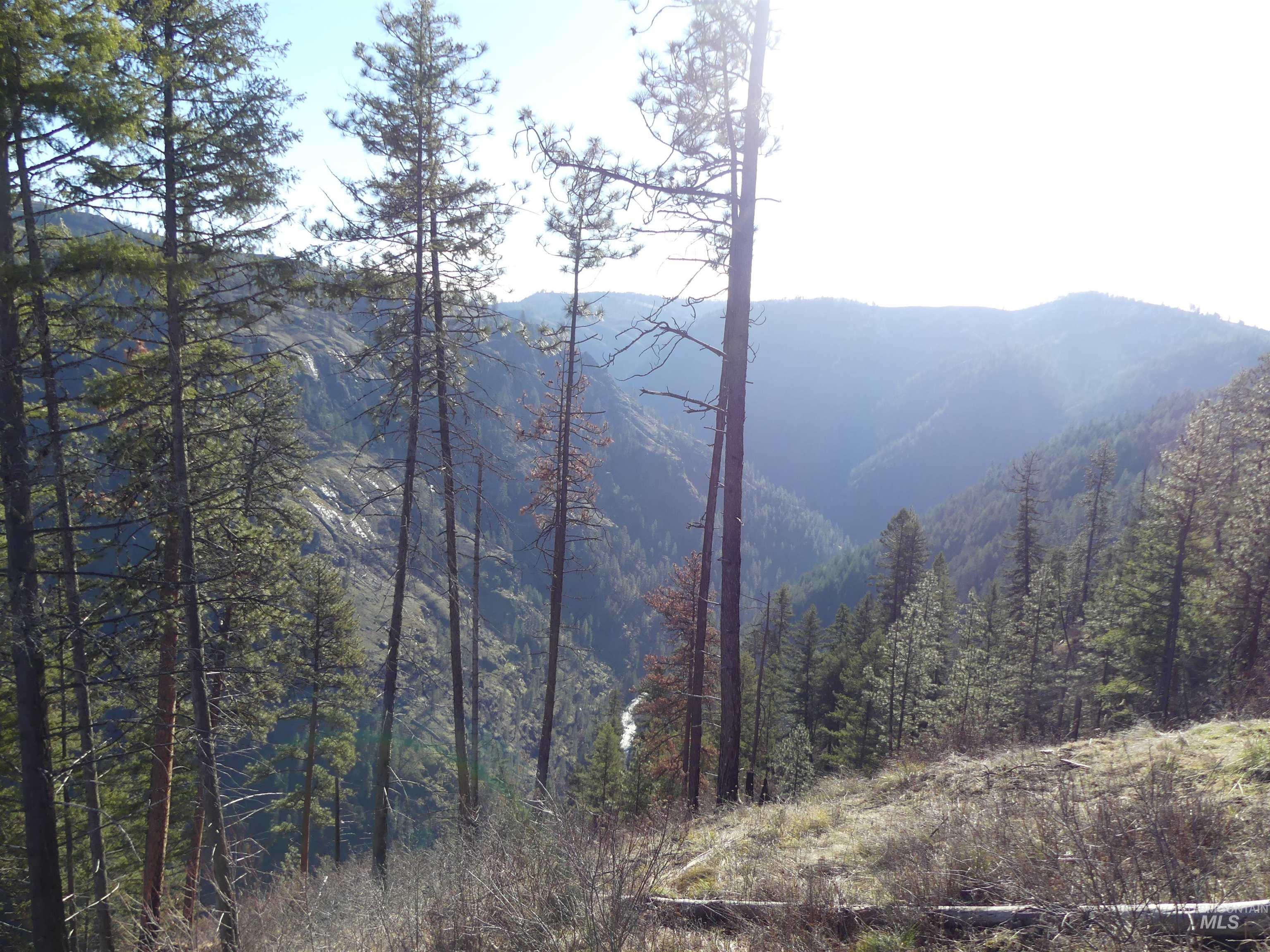 1404 Carrot Ridge Road, Greer, Idaho 83536-0000, Land For Sale, Price $1,378,000, 98982852