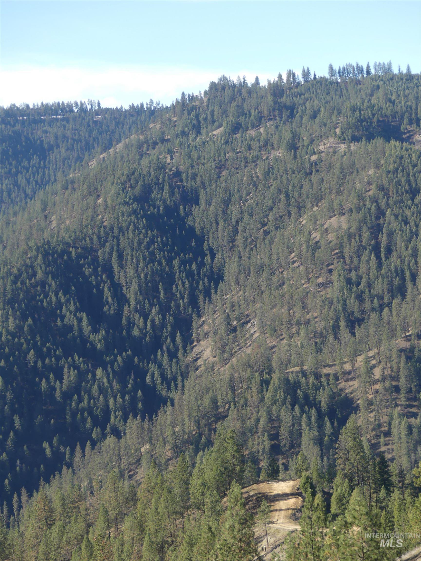 1408 Carrot Ridge Road, Greer, Idaho 83536-0000, Land For Sale, Price $1,378,000, 98982852