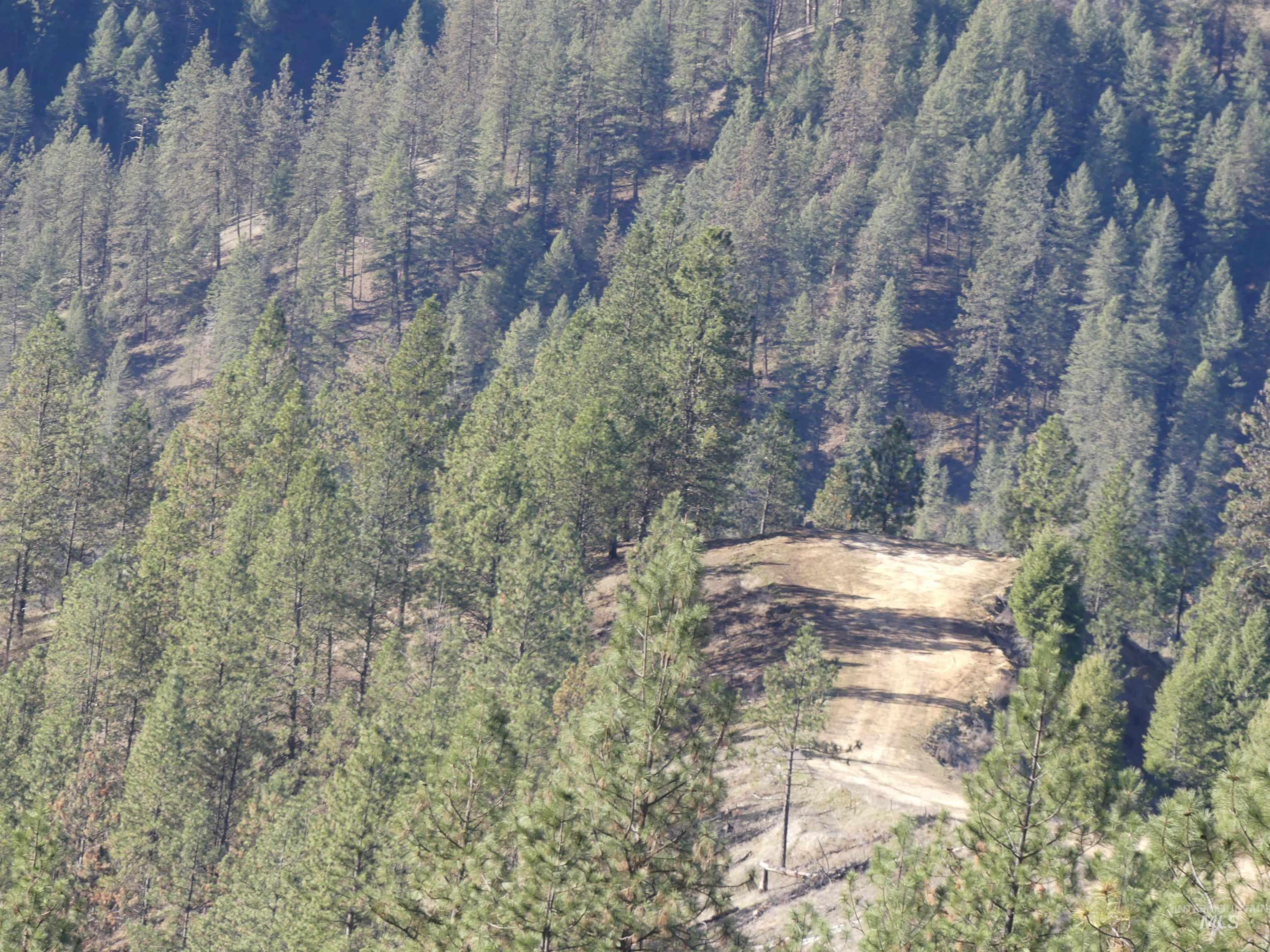 1408 Carrot Ridge Road, Greer, Idaho 83536-0000, Land For Sale, Price $1,378,000, 98982852