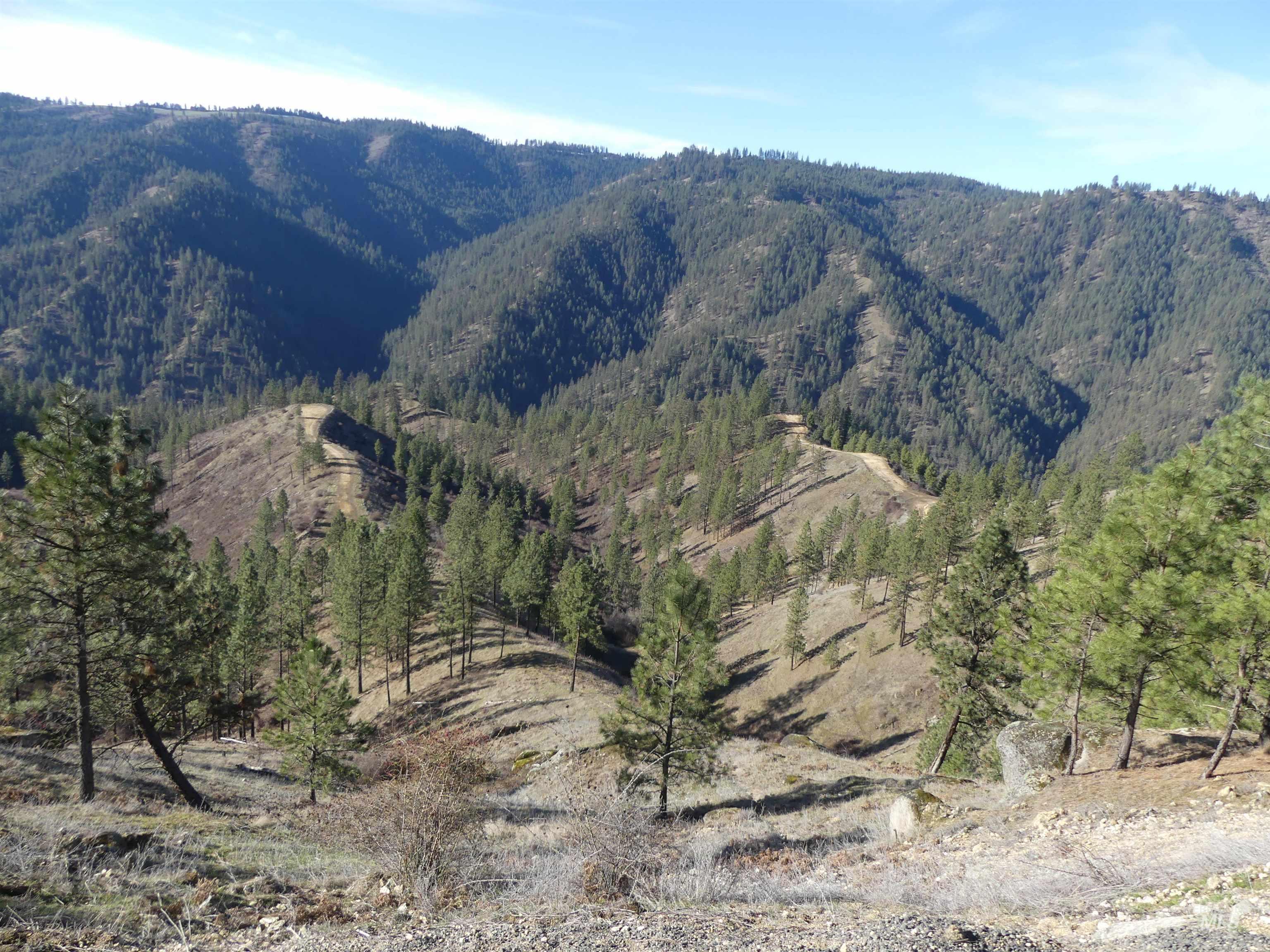 1408 Carrot Ridge Road, Greer, Idaho 83536-0000, Land For Sale, Price $1,378,000, 98982852