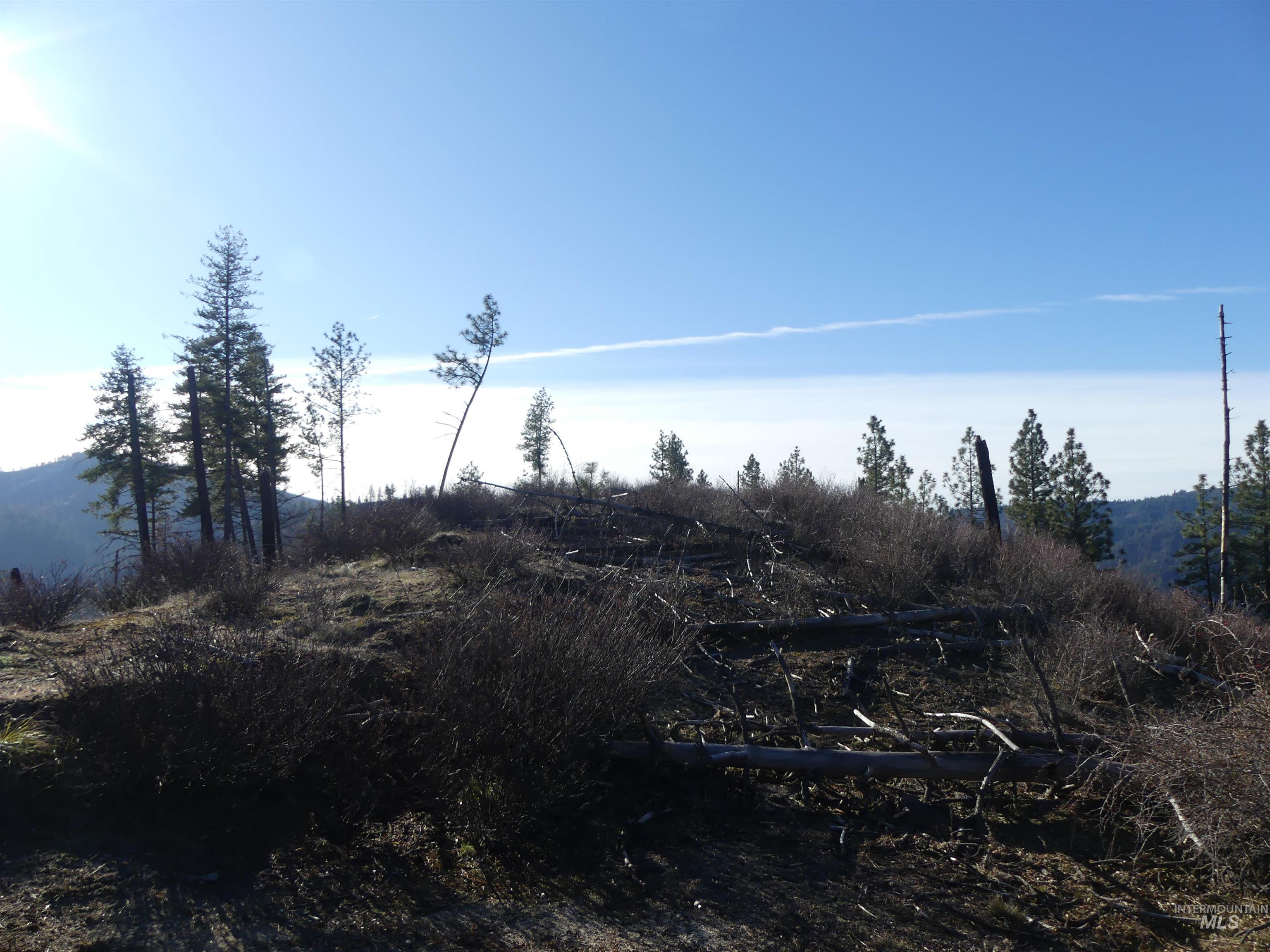 1404 Carrot Ridge Road, Greer, Idaho 83536-0000, Land For Sale, Price $1,378,000, 98982852