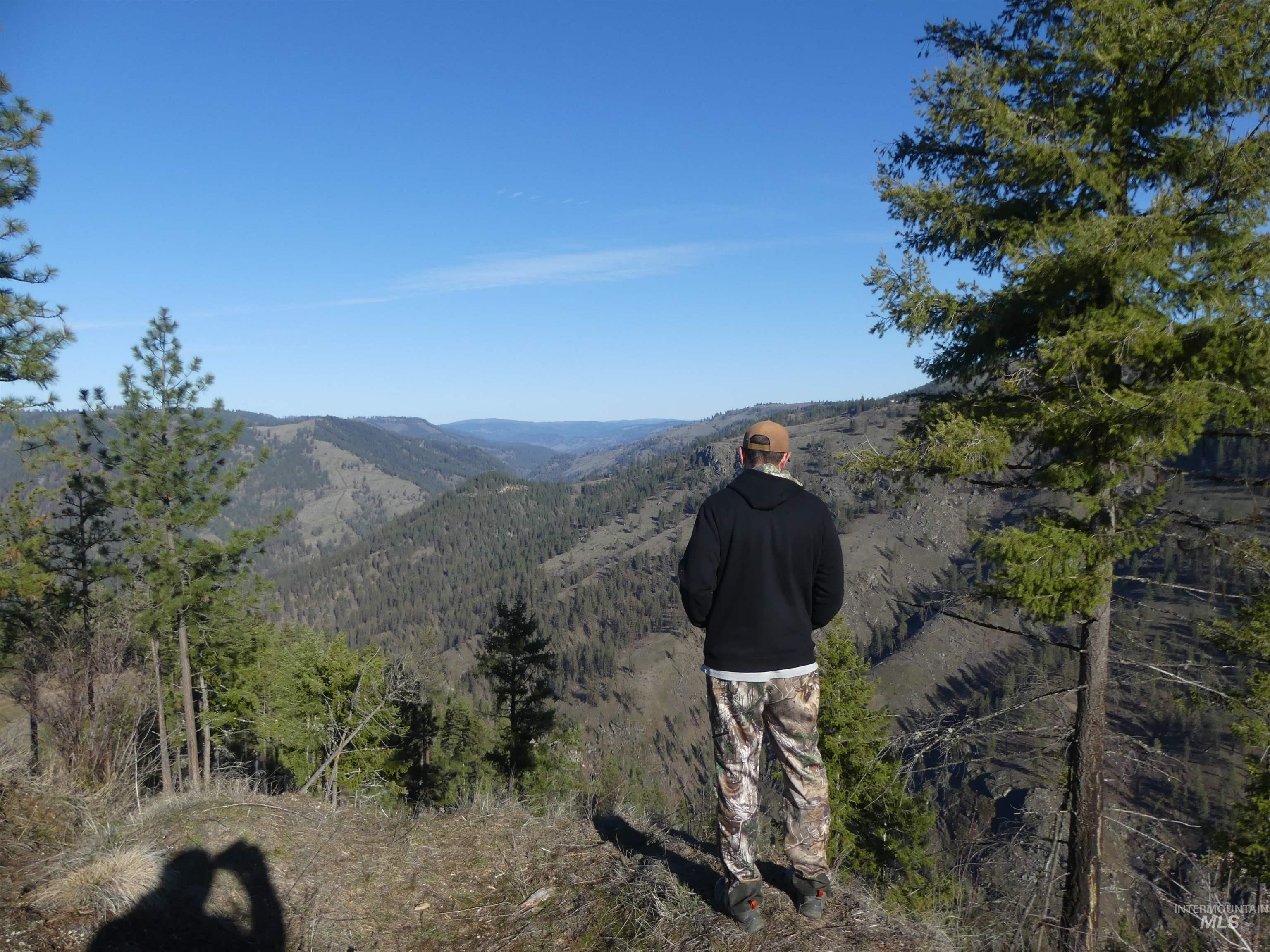 1404 Carrot Ridge Road, Greer, Idaho 83536-0000, Land For Sale, Price $1,378,000, 98982852