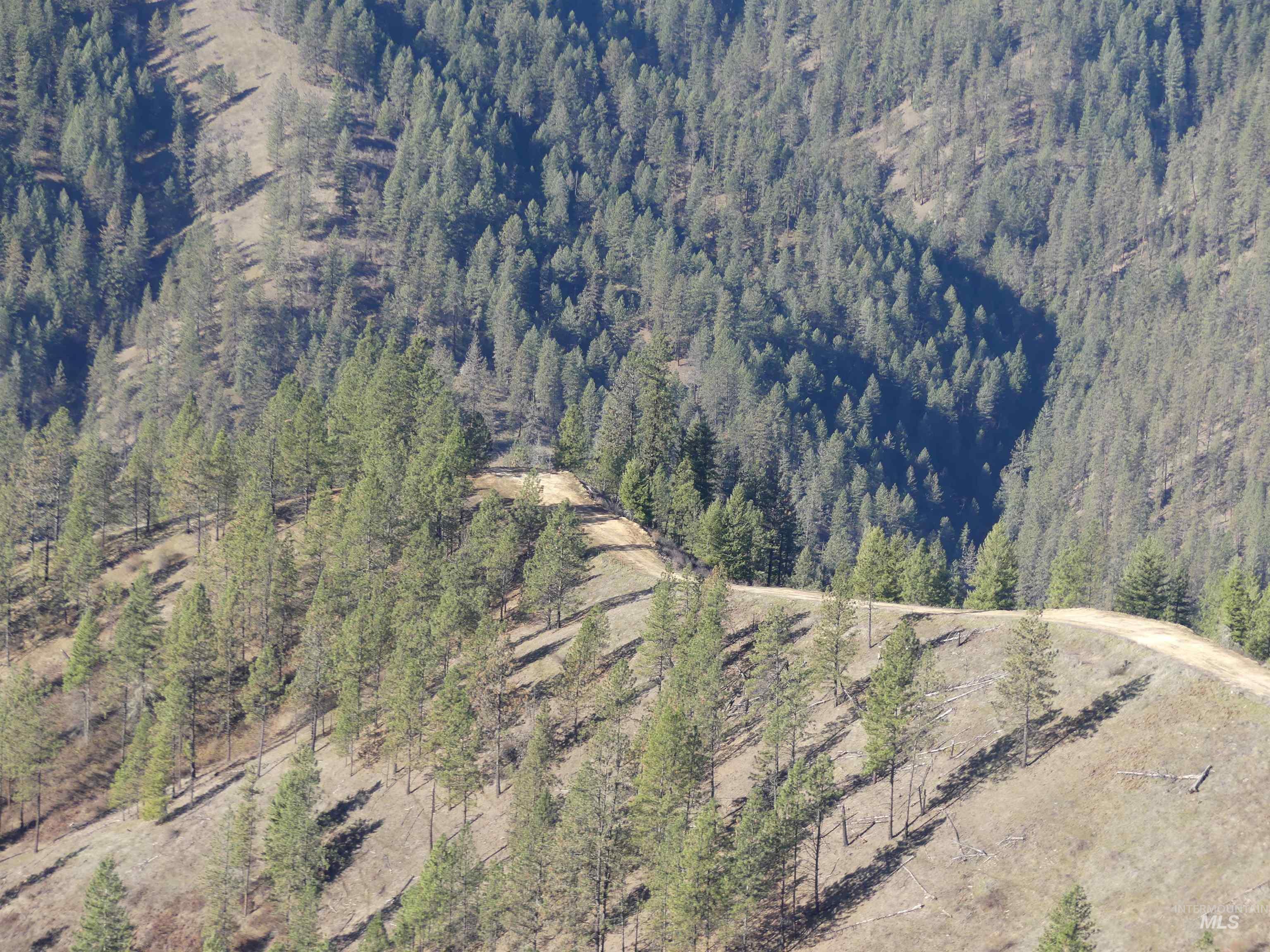 1408 Carrot Ridge Road, Greer, Idaho 83536-0000, Land For Sale, Price $1,378,000, 98982852