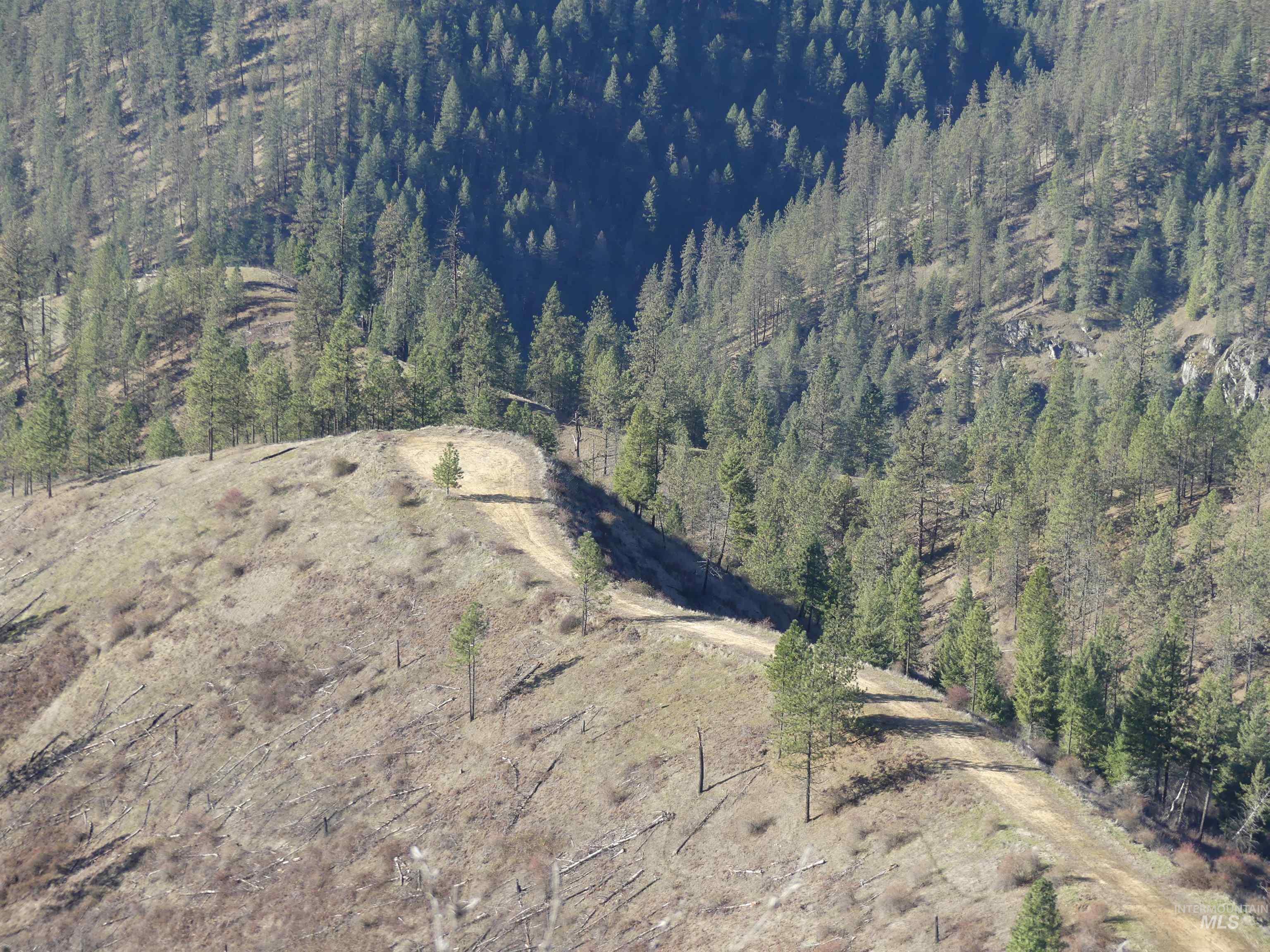 1408 Carrot Ridge Road, Greer, Idaho 83536-0000, Land For Sale, Price $1,378,000, 98982852