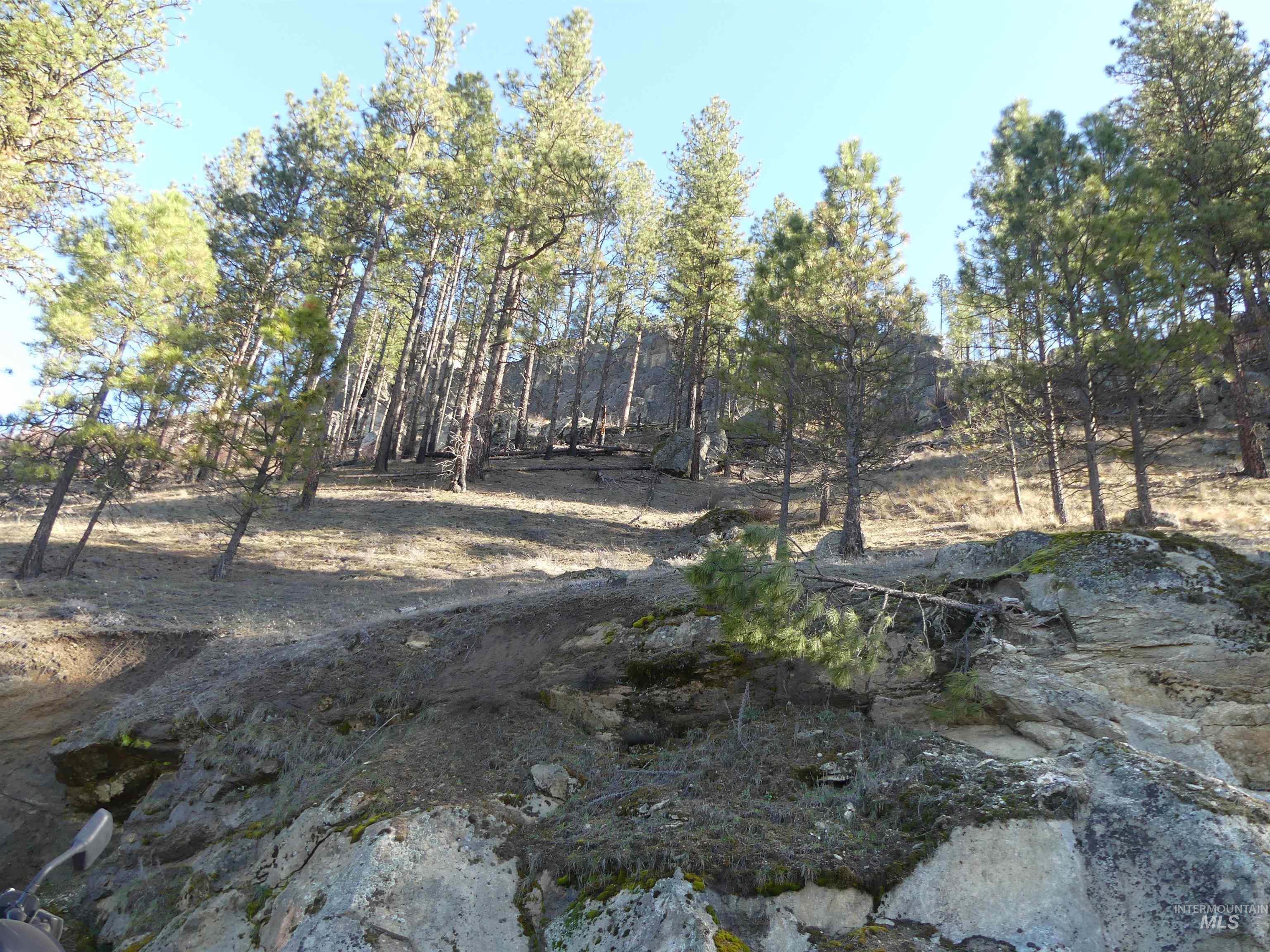 1408 Carrot Ridge Road, Greer, Idaho 83536-0000, Land For Sale, Price $1,378,000, 98982852