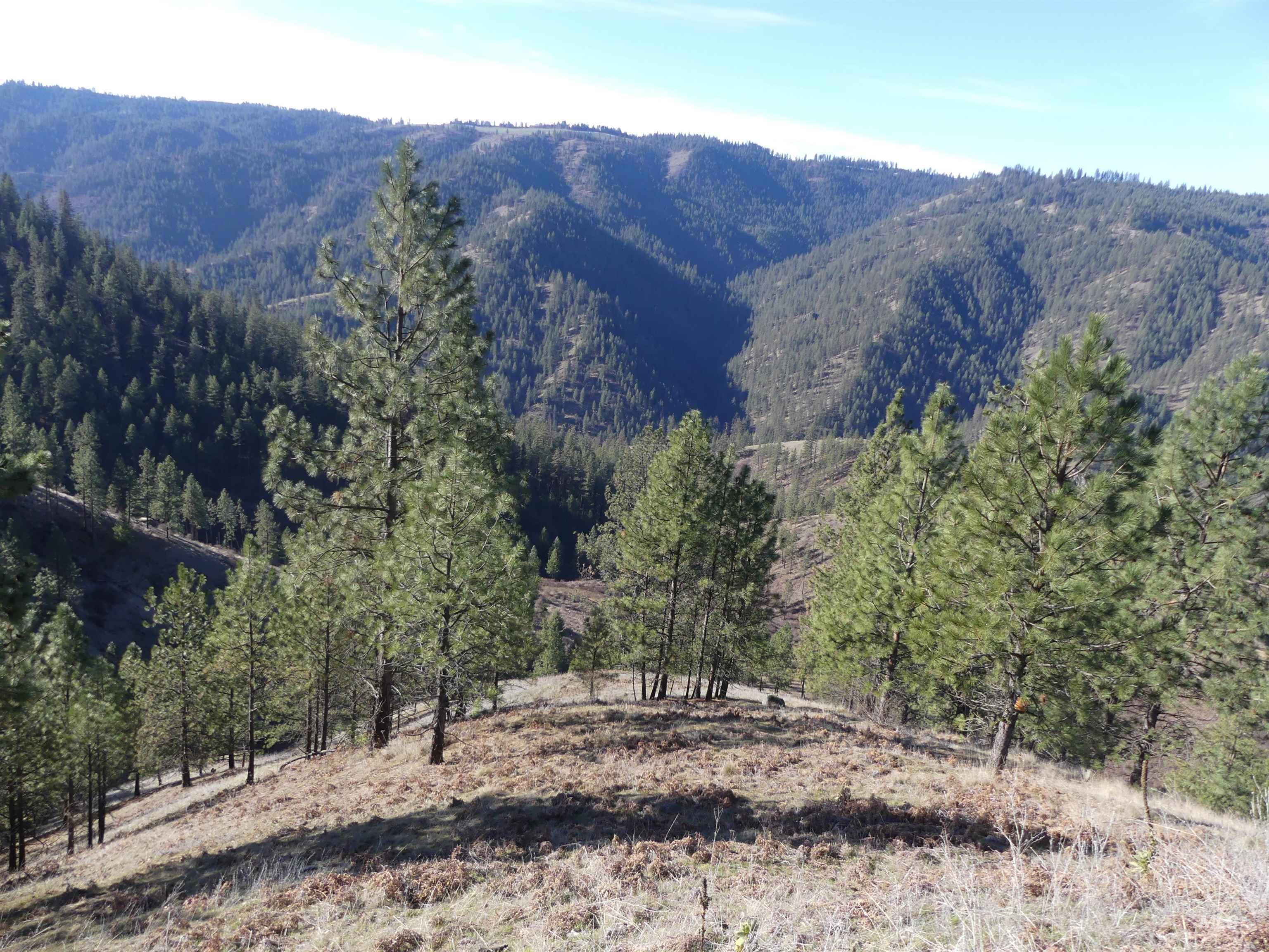 1408 Carrot Ridge Road, Greer, Idaho 83536-0000, Land For Sale, Price $1,378,000, 98982852