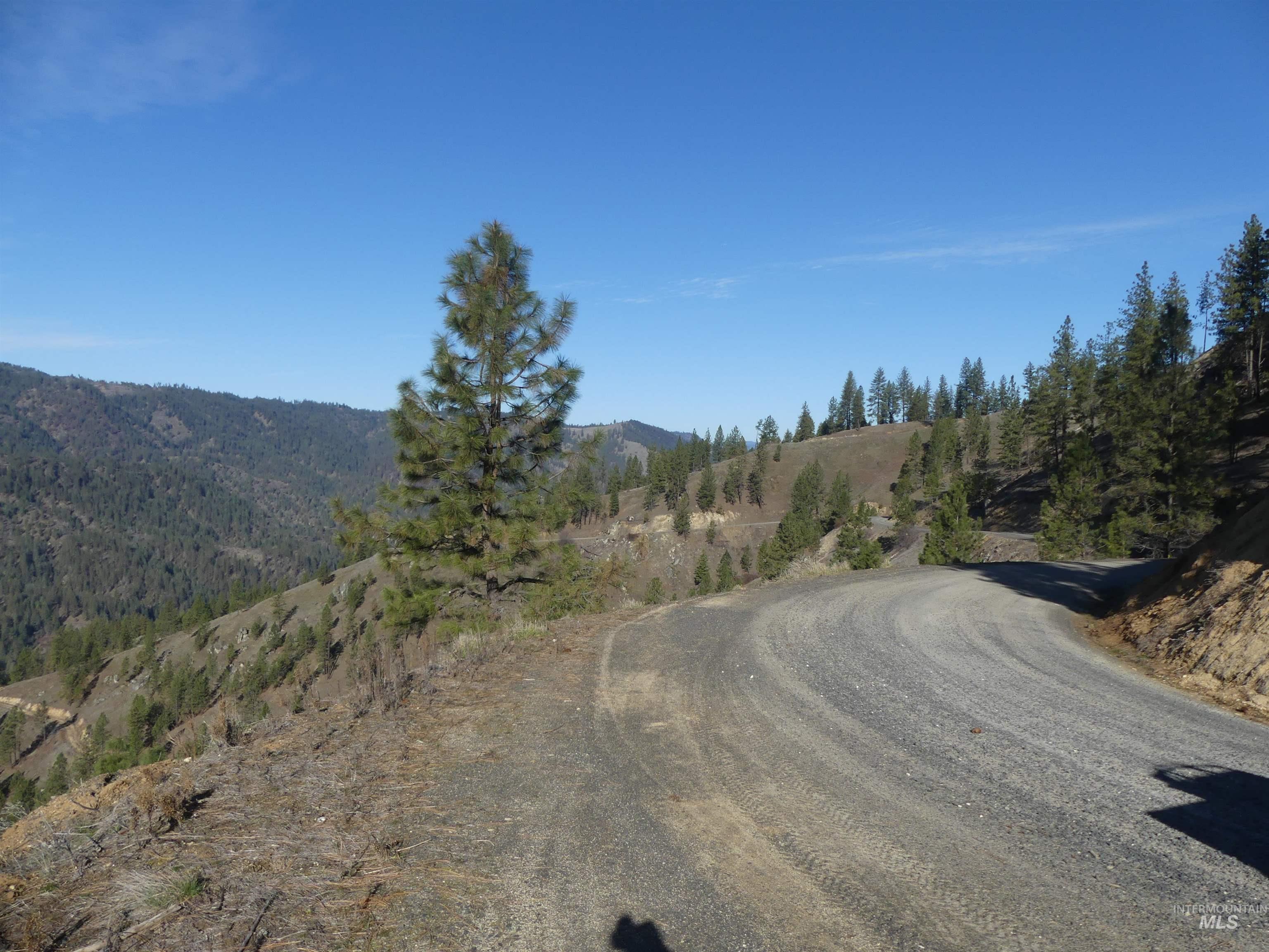 1408 Carrot Ridge Road, Greer, Idaho 83536-0000, Land For Sale, Price $1,378,000, 98982852