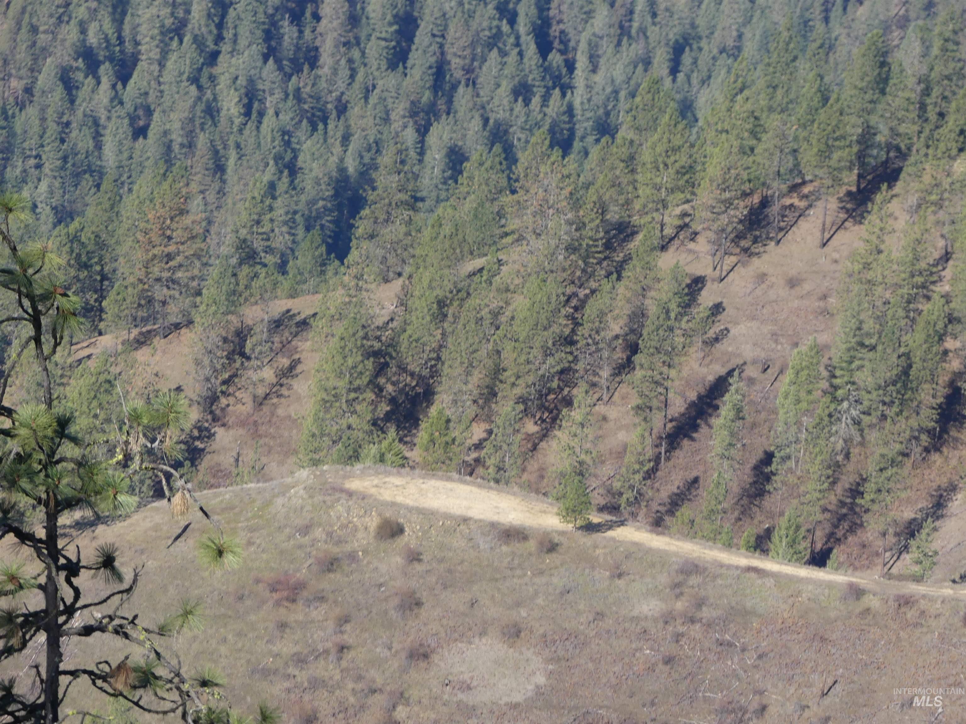 1408 Carrot Ridge Road, Greer, Idaho 83536-0000, Land For Sale, Price $1,378,000, 98982852