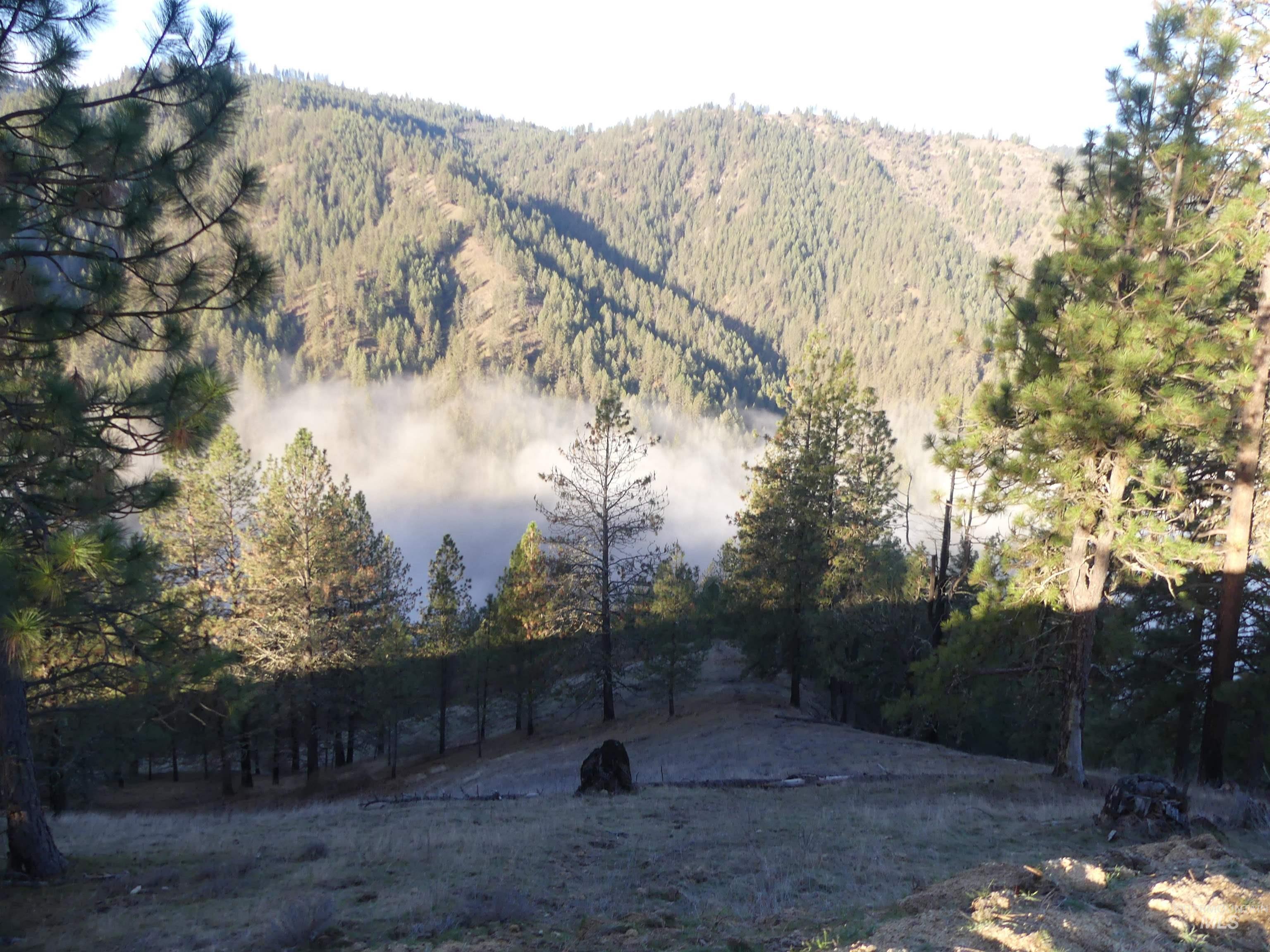 1404 Carrot Ridge Road, Greer, Idaho 83536-0000, Land For Sale, Price $1,378,000, 98982852