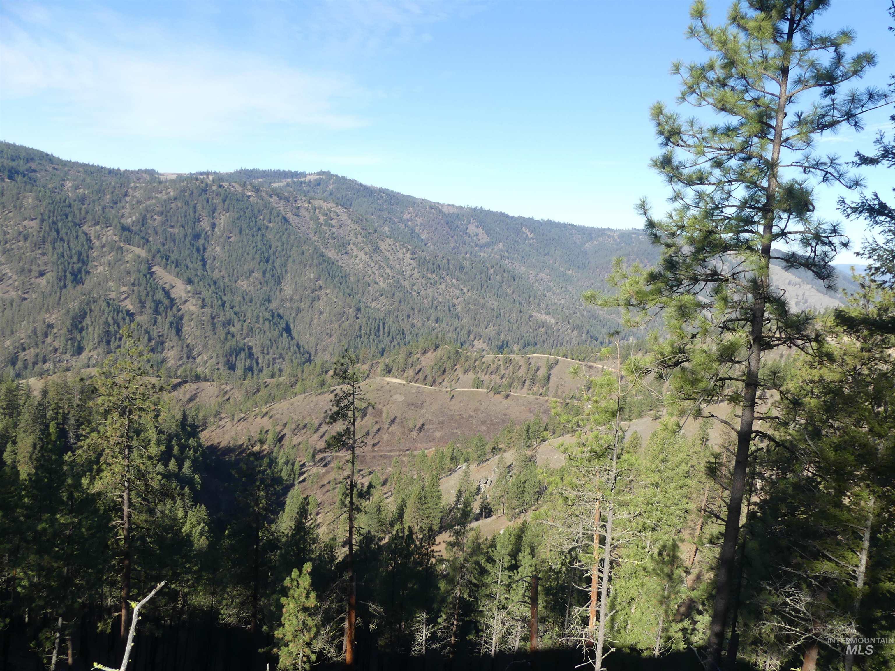 1408 Carrot Ridge Road, Greer, Idaho 83536-0000, Land For Sale, Price $1,378,000, 98982852