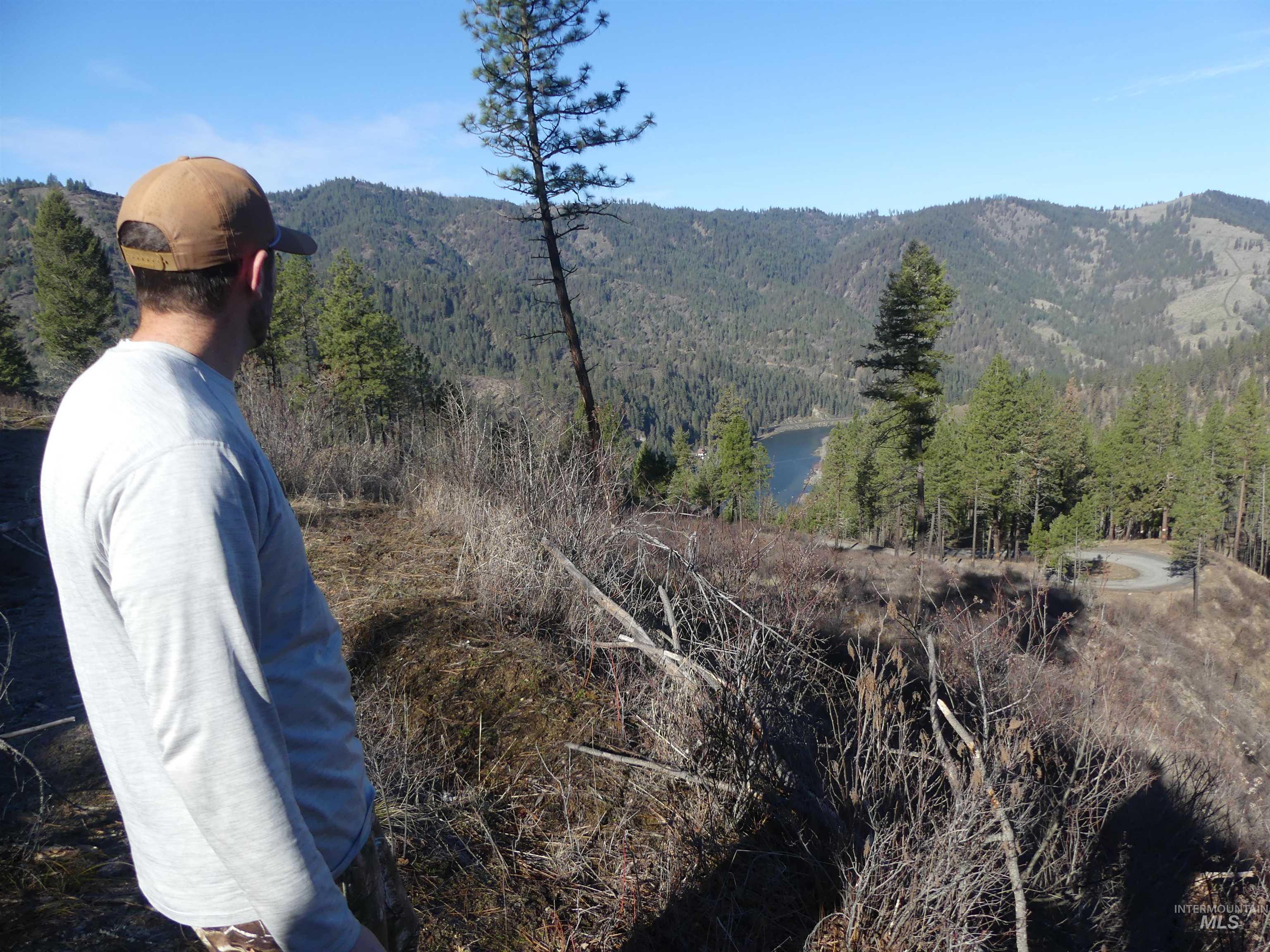 1404 Carrot Ridge Road, Greer, Idaho 83536-0000, Land For Sale, Price $1,378,000, 98982852