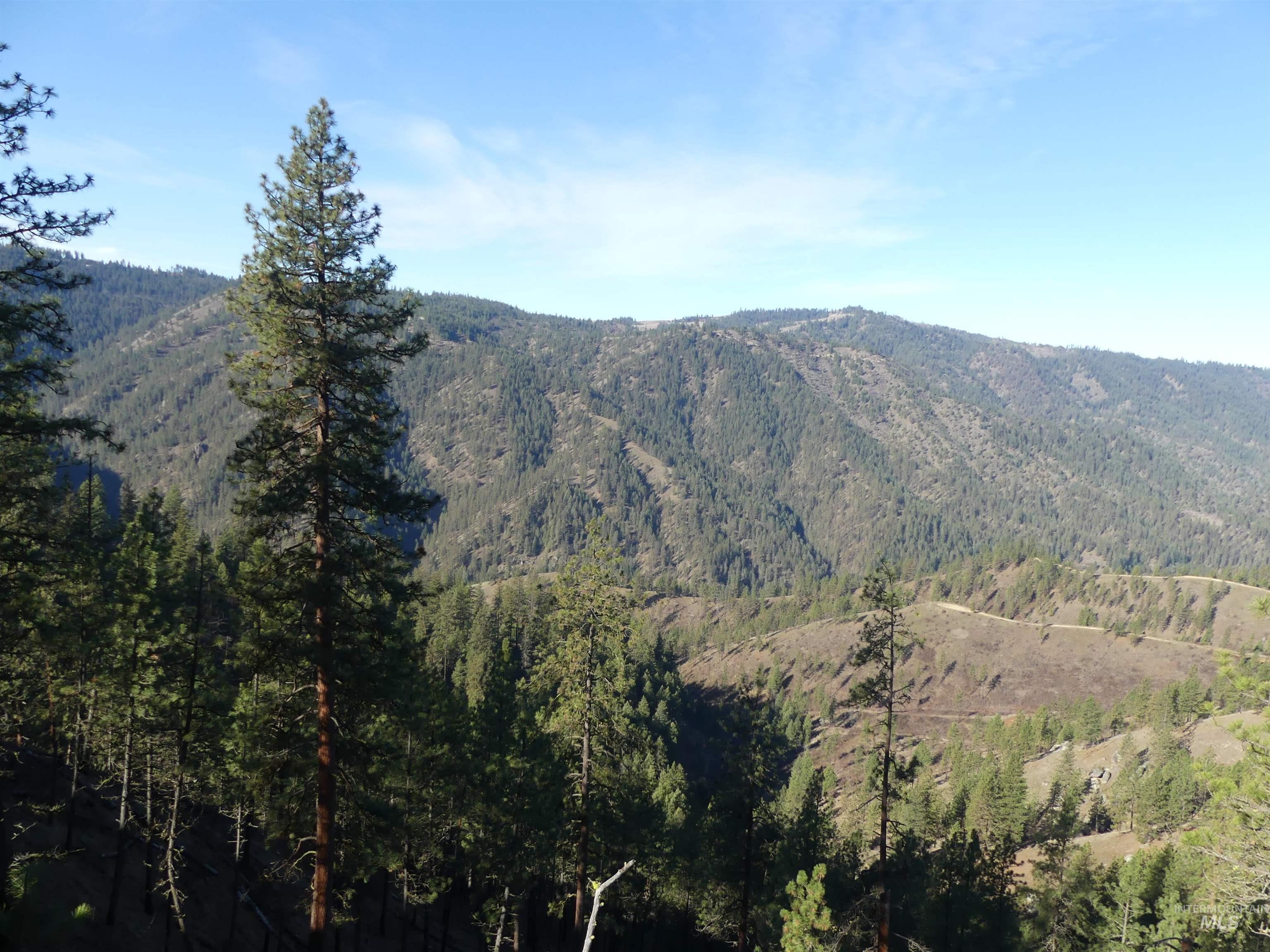 1408 Carrot Ridge Road, Greer, Idaho 83536-0000, Land For Sale, Price $1,378,000, 98982852