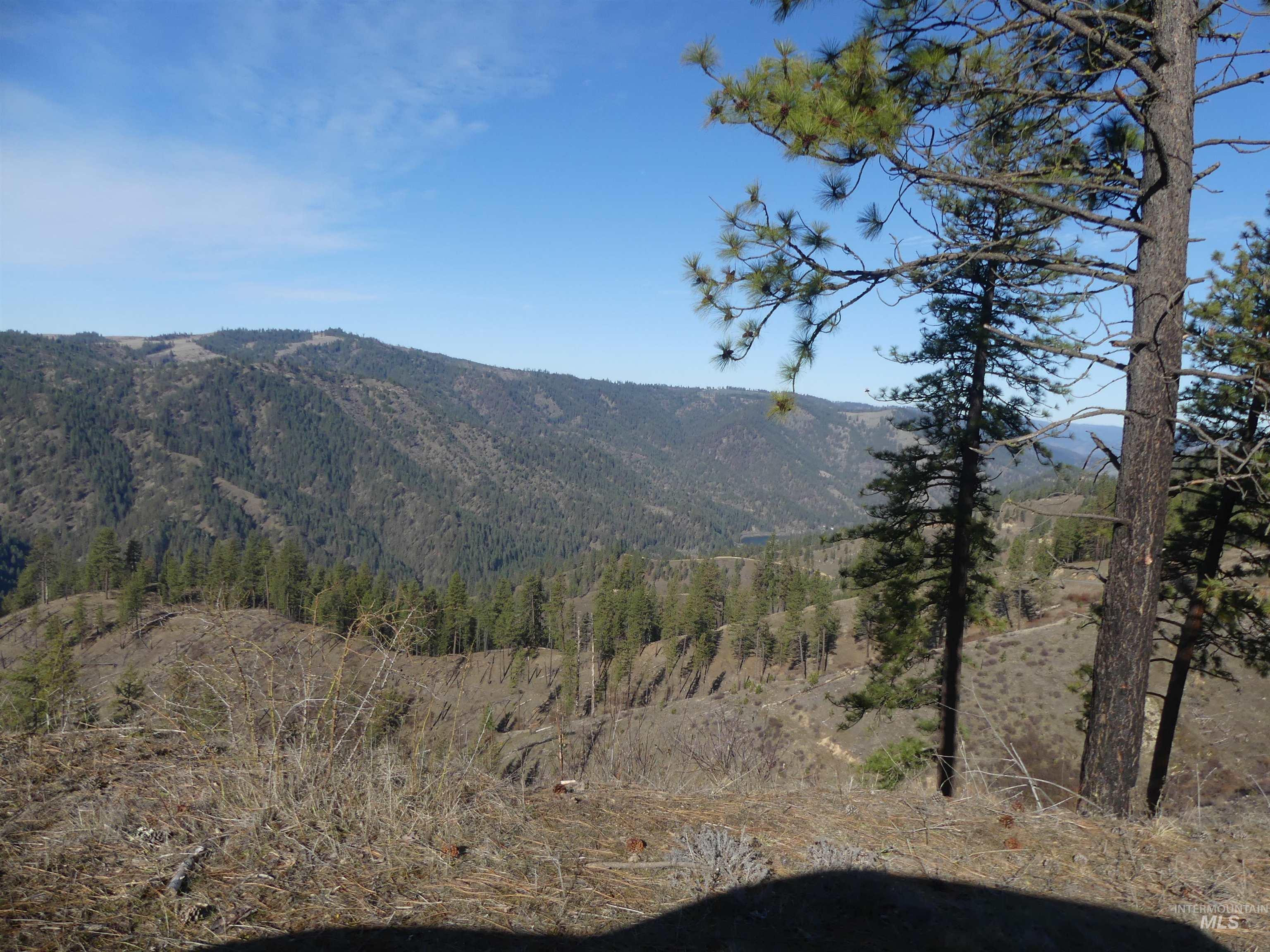 1408 Carrot Ridge Road, Greer, Idaho 83536-0000, Land For Sale, Price $1,378,000, 98982852