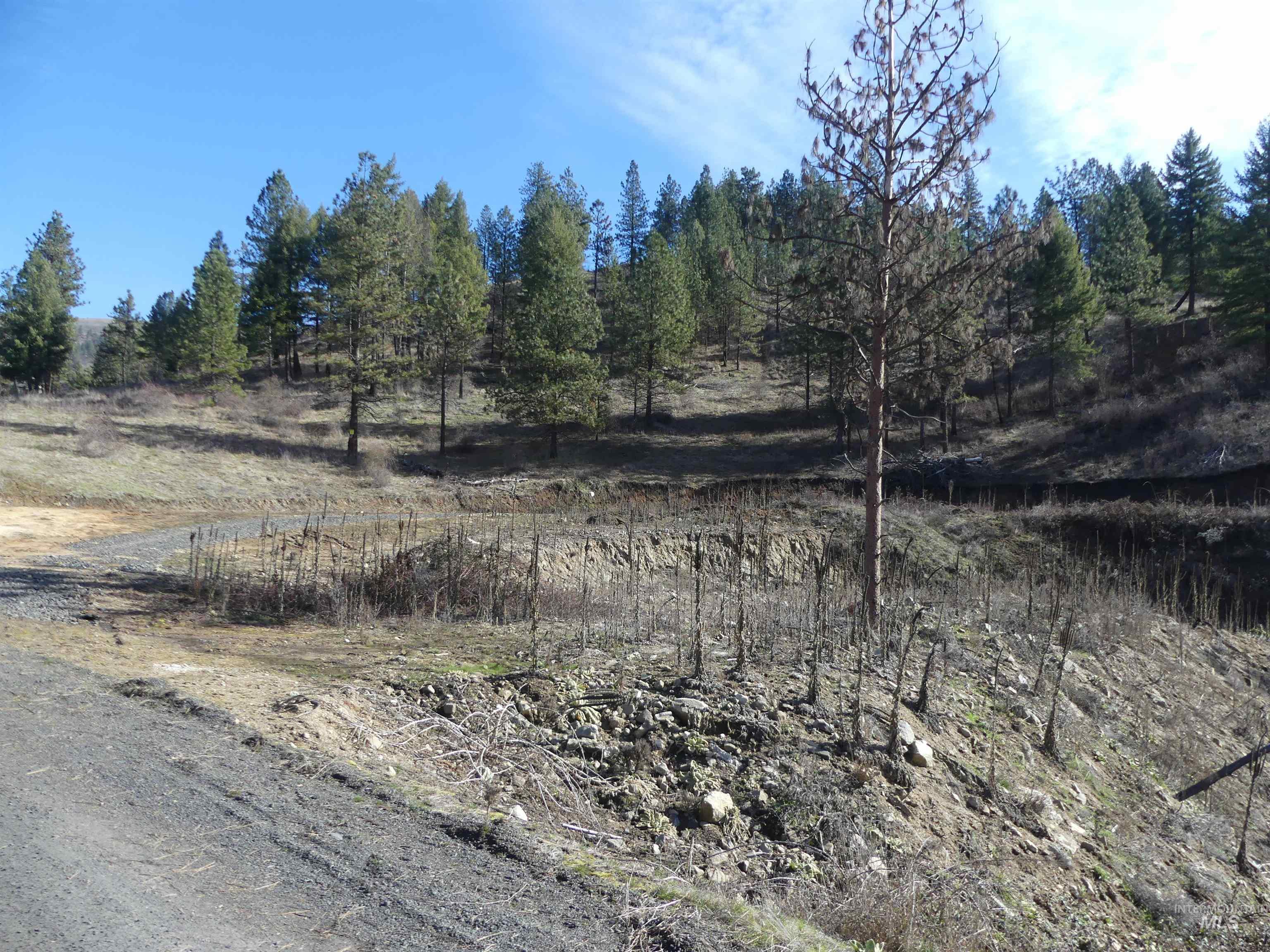 1408 Carrot Ridge Road, Greer, Idaho 83536-0000, Land For Sale, Price $1,378,000, 98982852