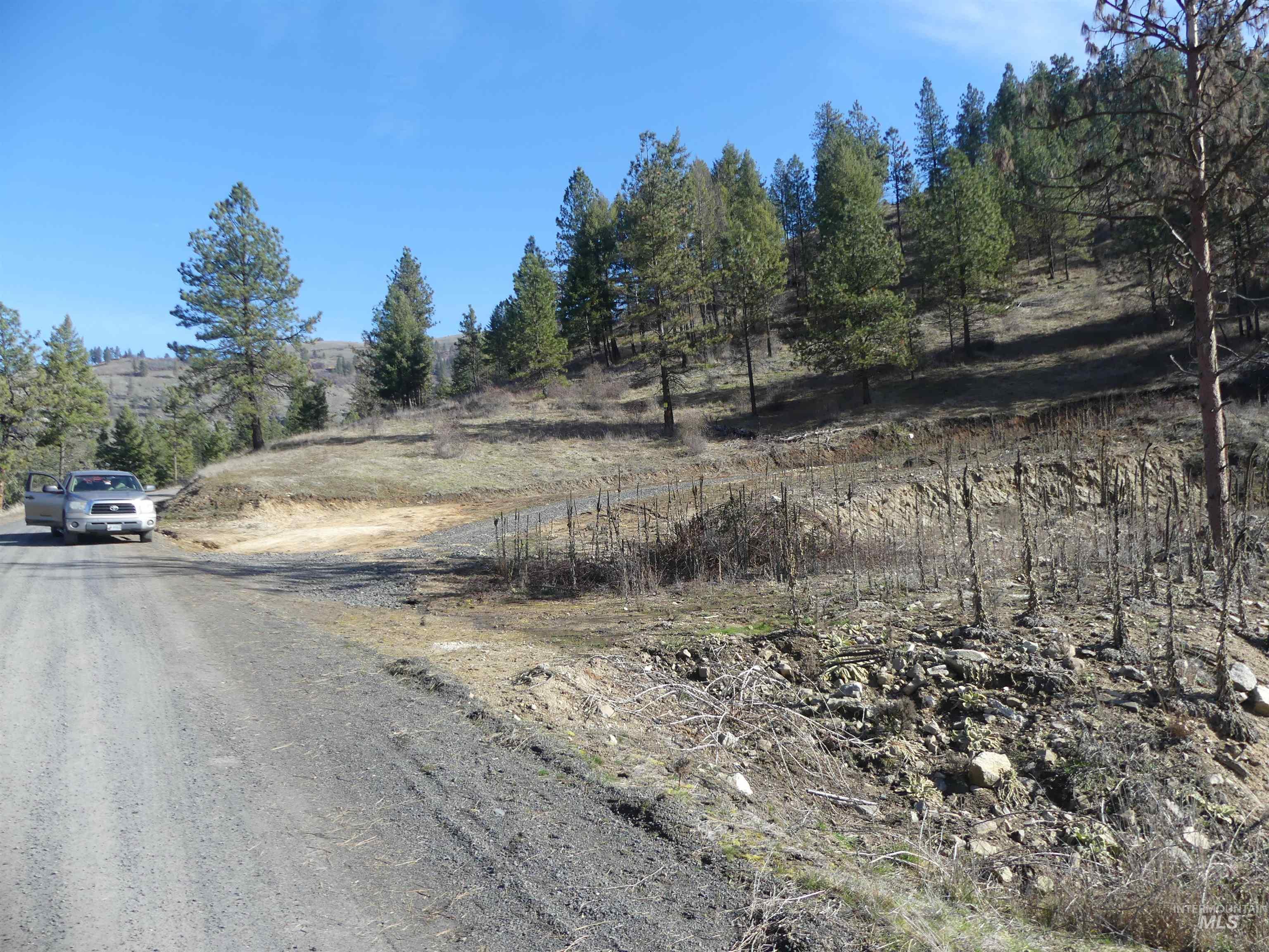 1408 Carrot Ridge Road, Greer, Idaho 83536-0000, Land For Sale, Price $1,378,000, 98982852