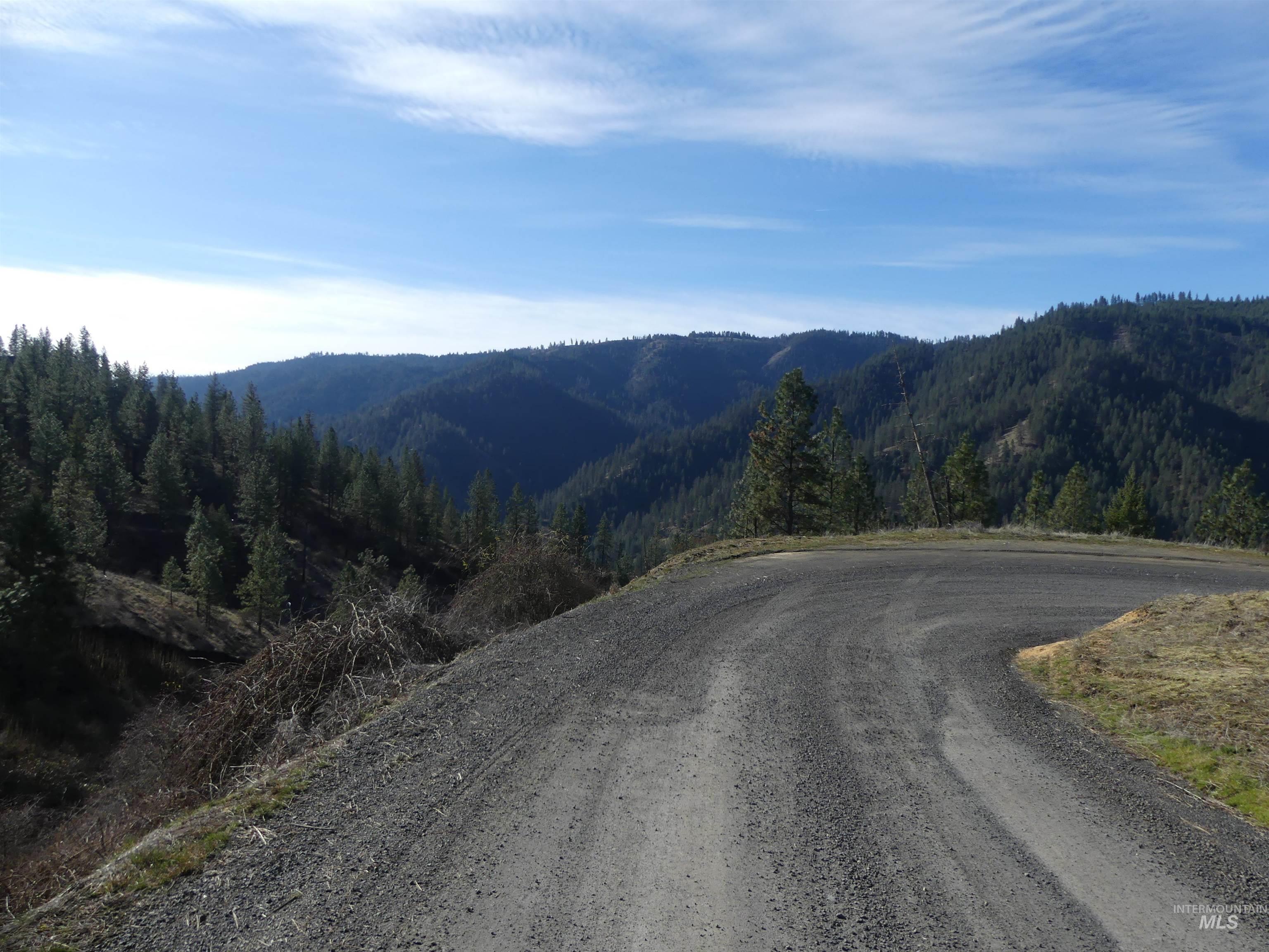 1408 Carrot Ridge Road, Greer, Idaho 83536-0000, Land For Sale, Price $1,378,000, 98982852