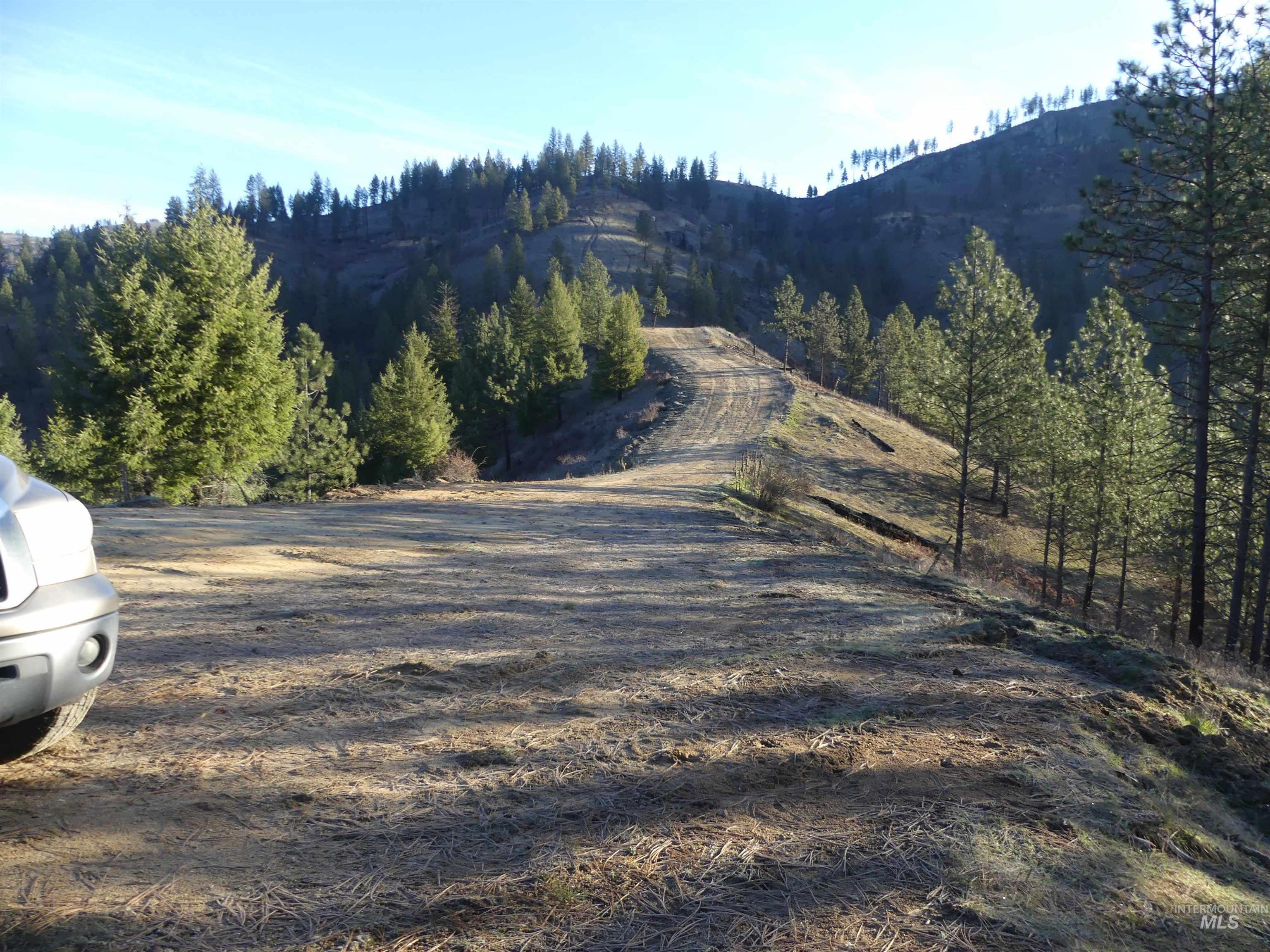 1404 Carrot Ridge Road, Greer, Idaho 83536-0000, Land For Sale, Price $1,378,000, 98982852