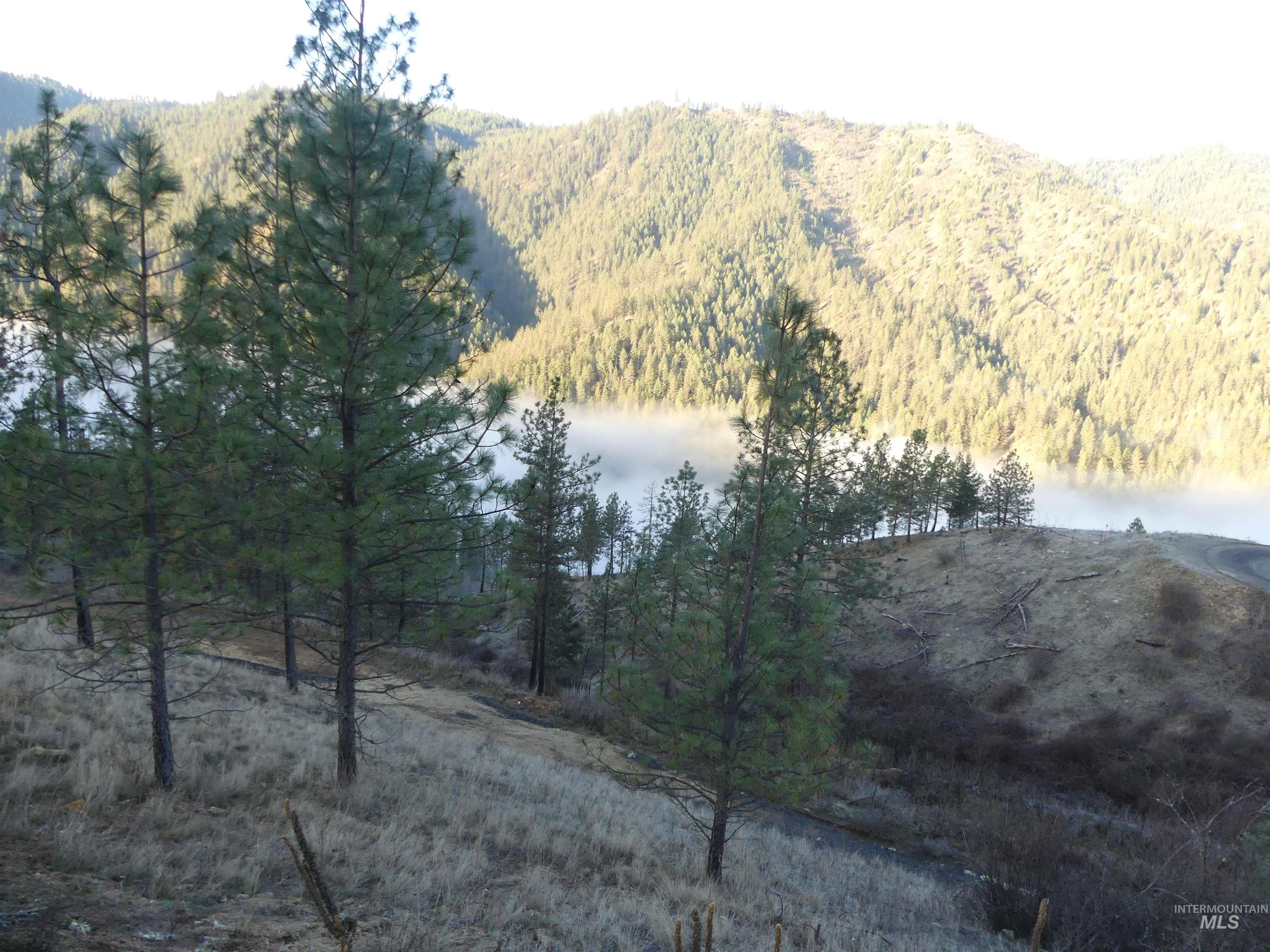 1408 Carrot Ridge Road, Greer, Idaho 83536-0000, Land For Sale, Price $1,378,000, 98982852