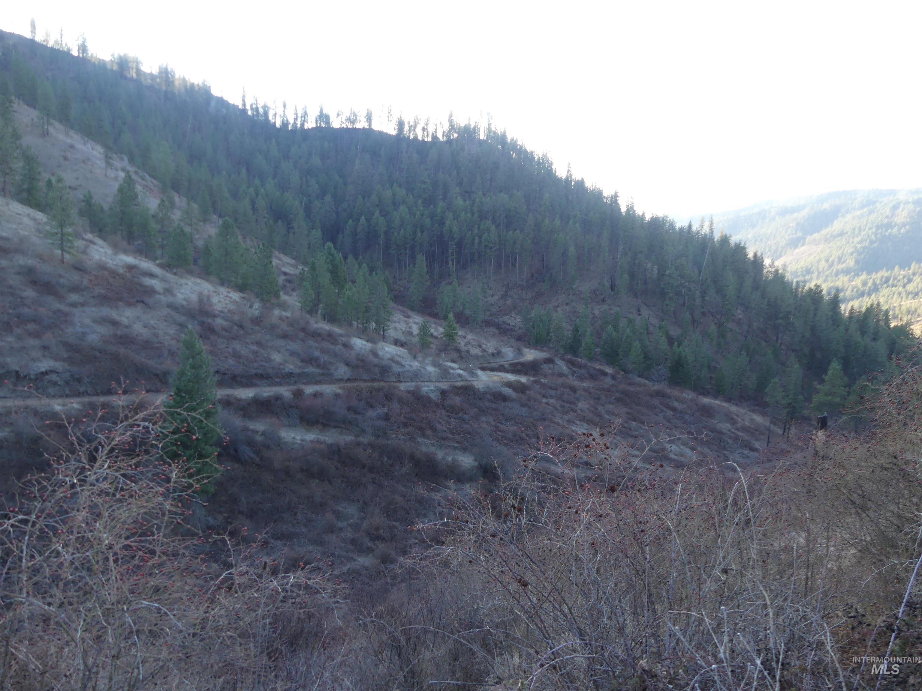 1404 Carrot Ridge Road, Greer, Idaho 83536-0000, Land For Sale, Price $1,378,000, 98982852