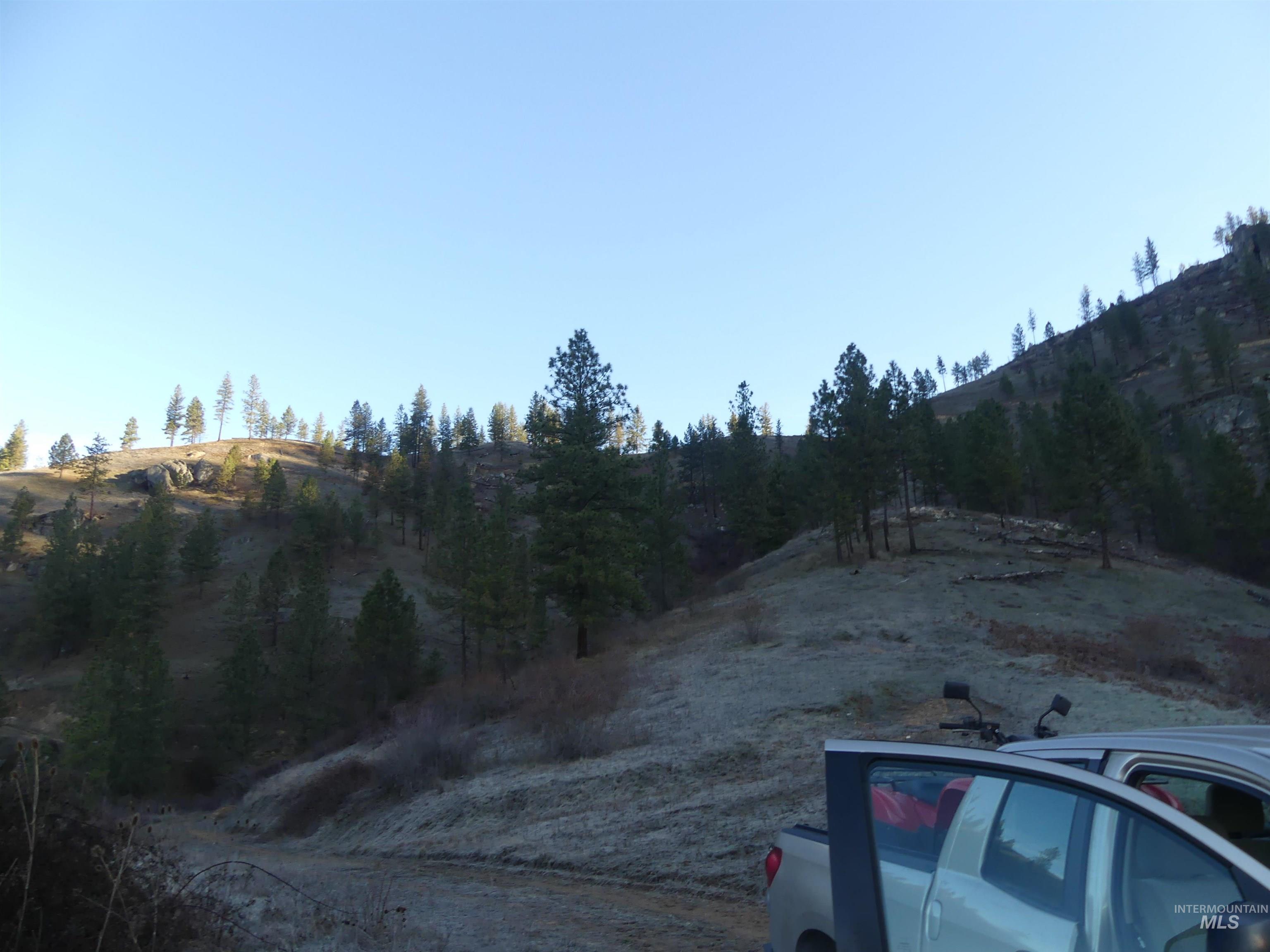 1404 Carrot Ridge Road, Greer, Idaho 83536-0000, Land For Sale, Price $1,378,000, 98982852