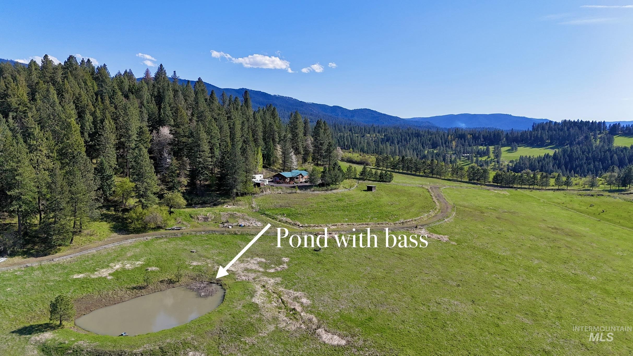 263 Sill Creek Rd., Clearwater, Idaho 83552, 3 Bedrooms, 2 Bathrooms, Residential For Sale, Price $815,000, 98982870