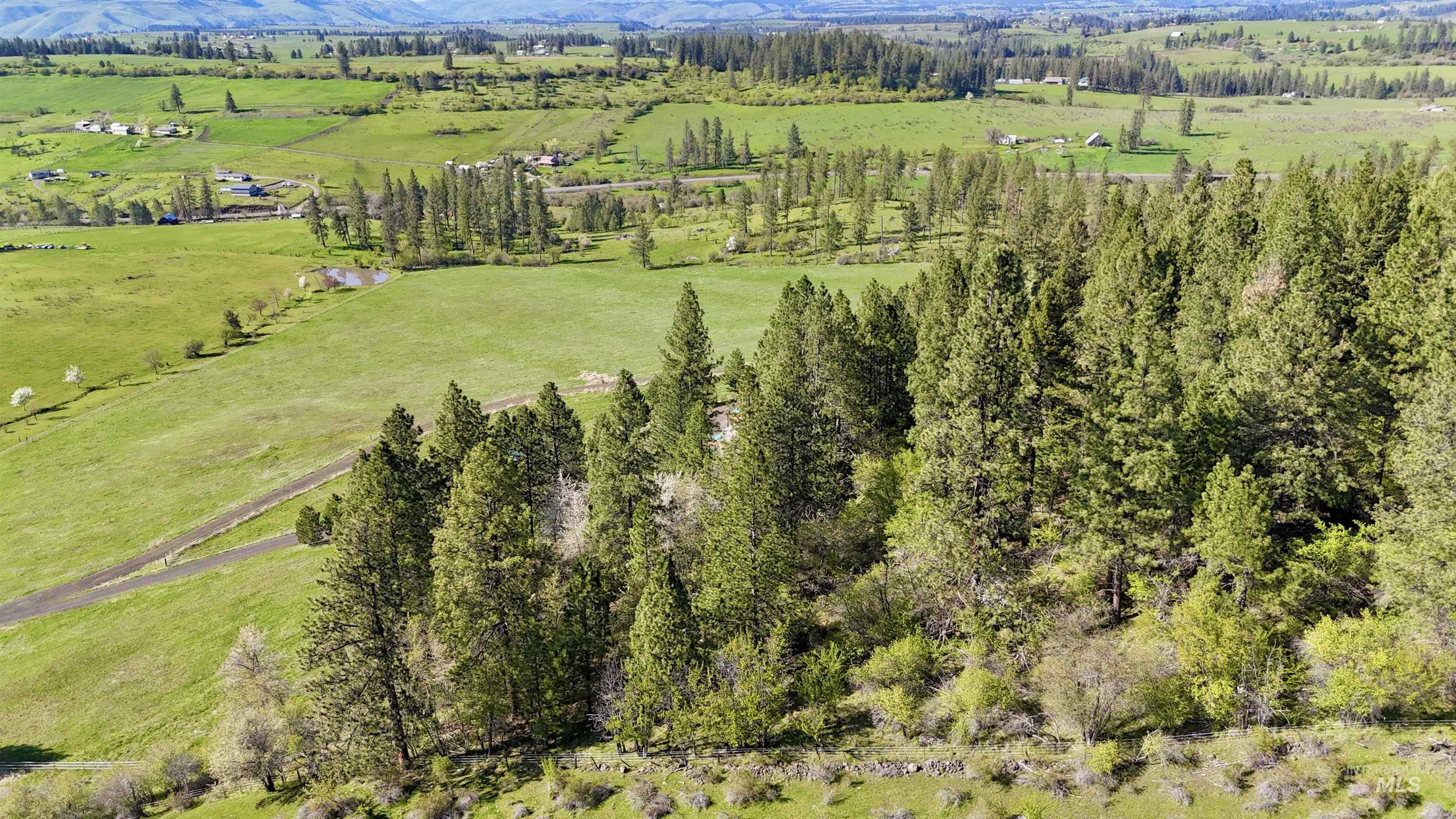 263 Sill Creek Rd., Clearwater, Idaho 83552, 3 Bedrooms, 2 Bathrooms, Residential For Sale, Price $815,000, 98982870