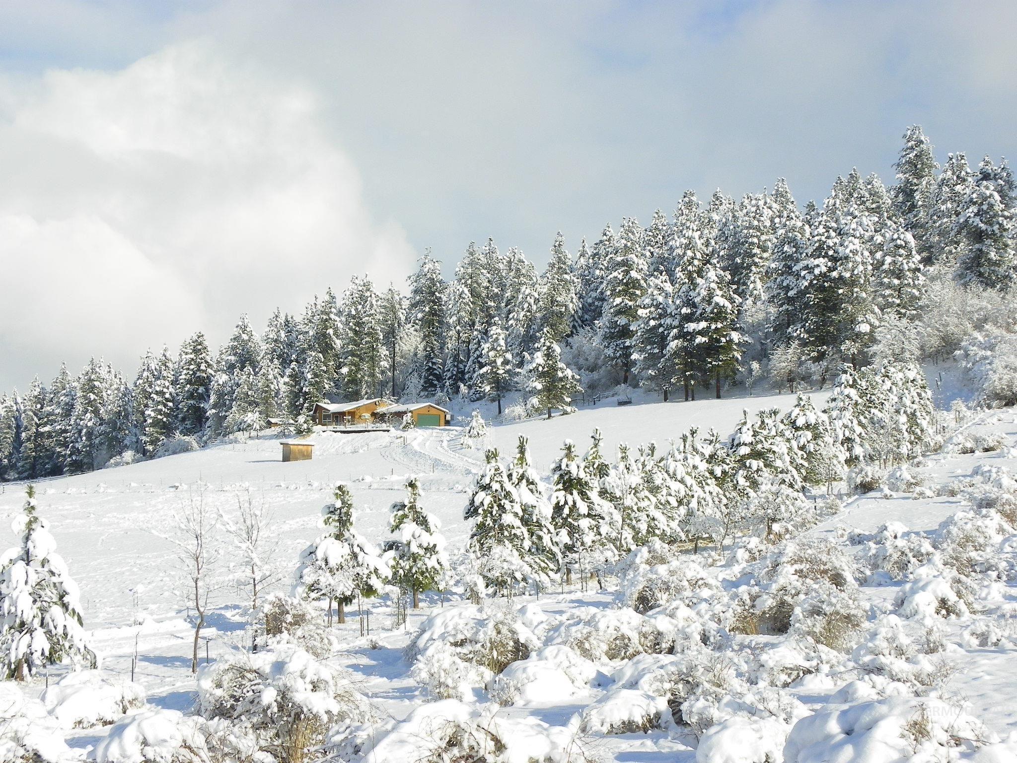 263 Sill Creek Rd., Clearwater, Idaho 83552, 3 Bedrooms, 2 Bathrooms, Residential For Sale, Price $815,000, 98982870