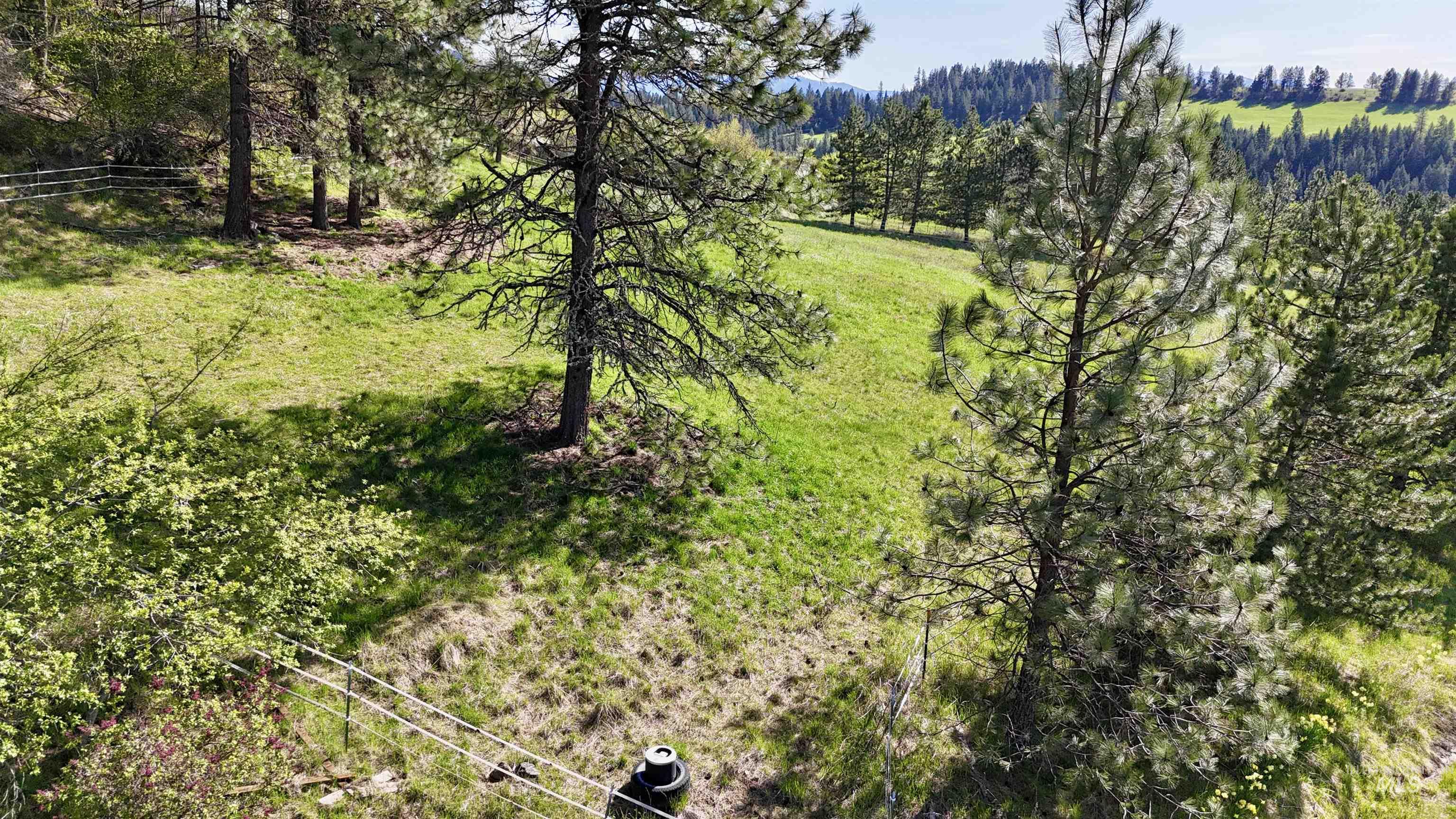 263 Sill Creek Rd., Clearwater, Idaho 83552, 3 Bedrooms, 2 Bathrooms, Residential For Sale, Price $815,000, 98982870