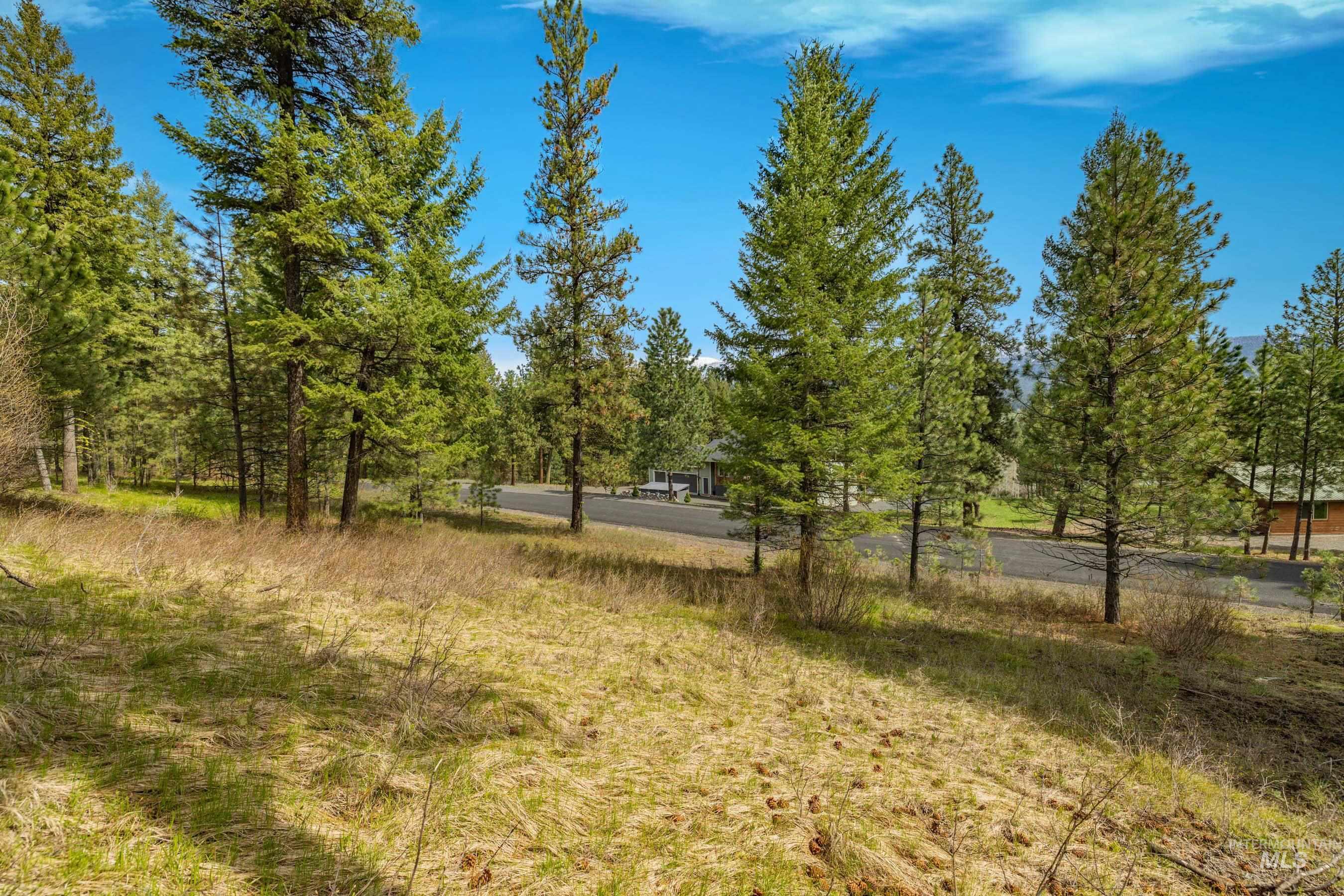 L5B28 Sorrel Dr, New Meadows, Idaho 83654, Land For Sale, Price $149,900,MLS 98982873
