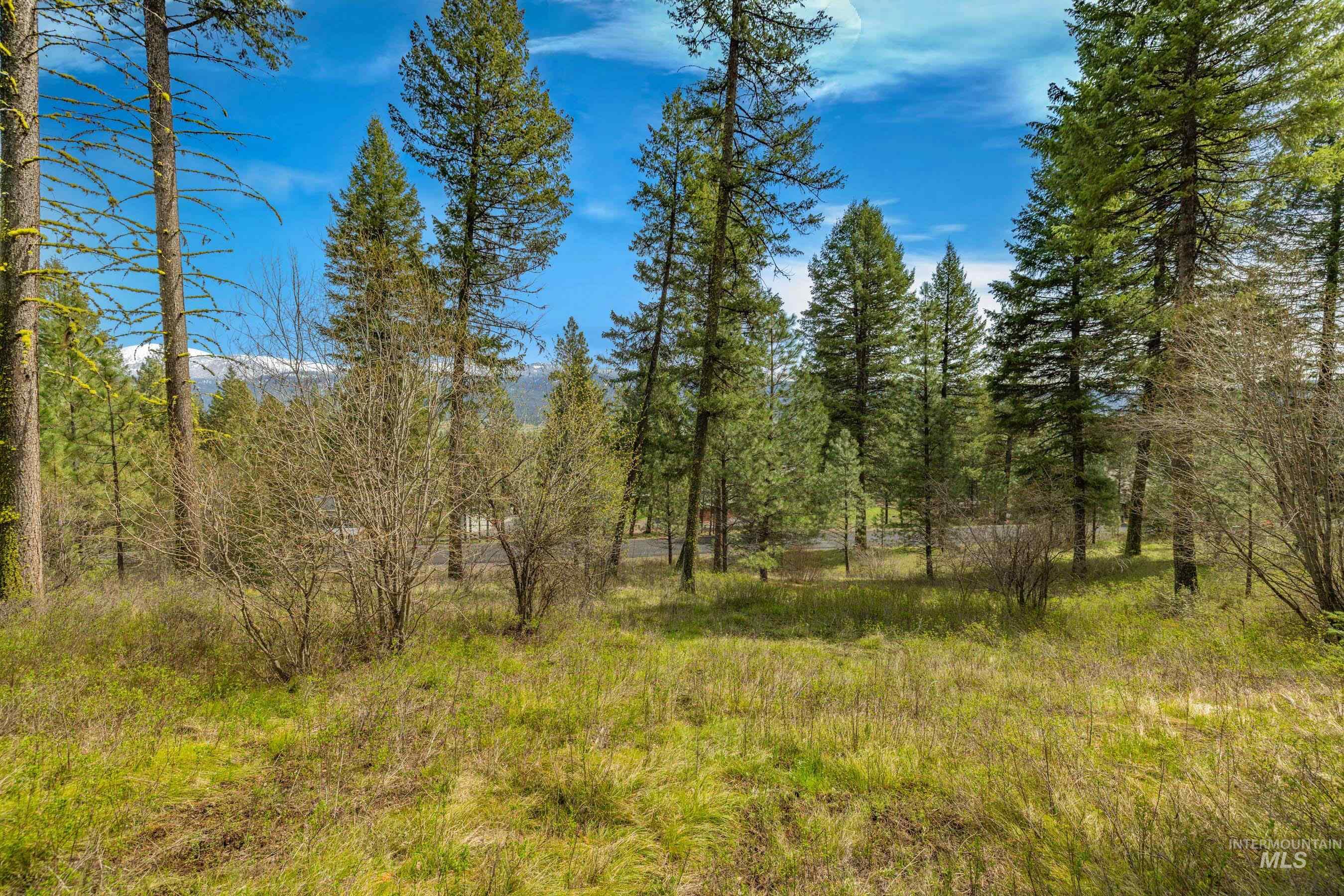 L5B28 Sorrel Dr, New Meadows, Idaho 83654, Land For Sale, Price $149,900,MLS 98982873