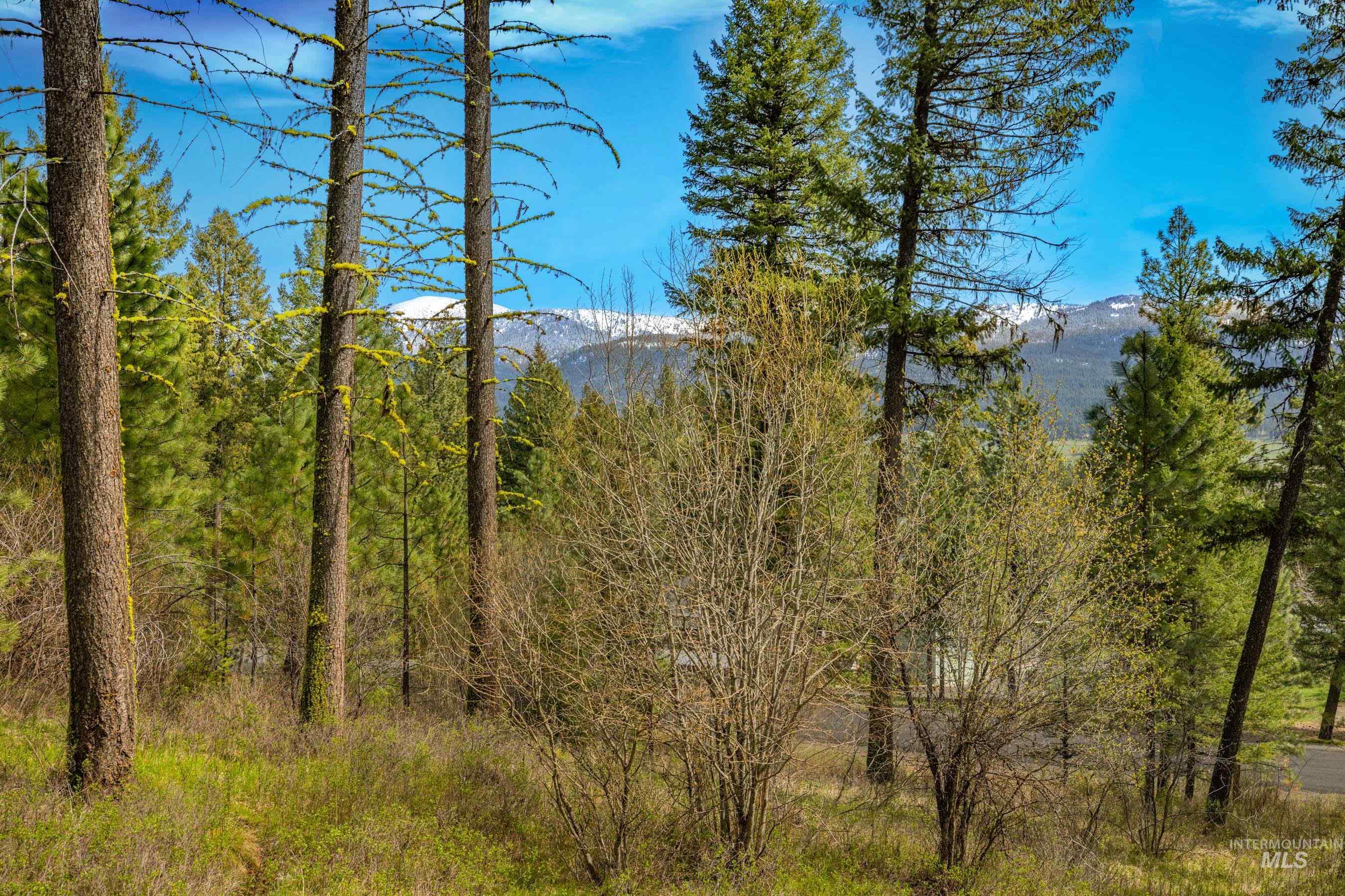 L5B28 Sorrel Dr, New Meadows, Idaho 83654, Land For Sale, Price $149,900,MLS 98982873