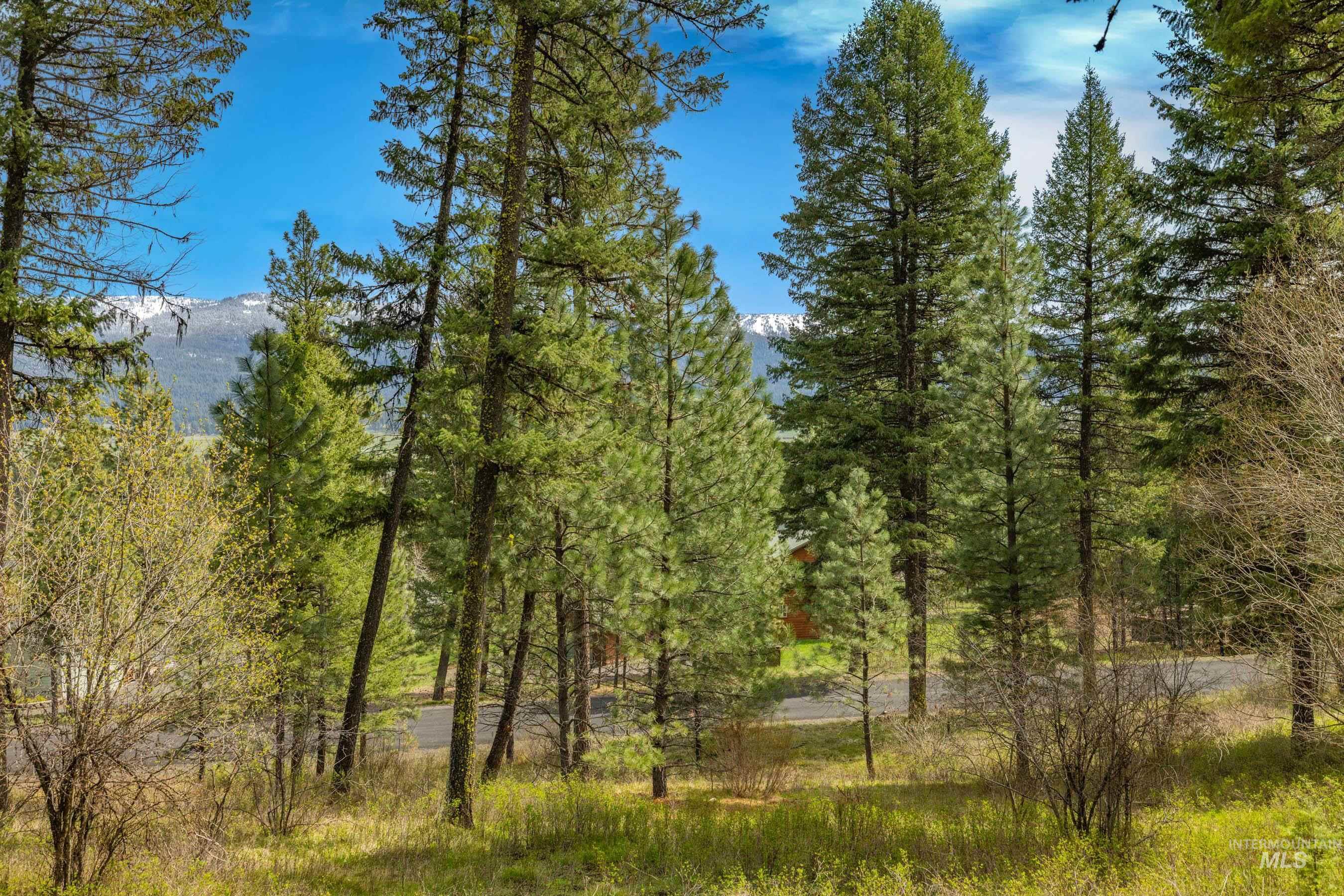 L5B28 Sorrel Dr, New Meadows, Idaho 83654, Land For Sale, Price $149,900,MLS 98982873