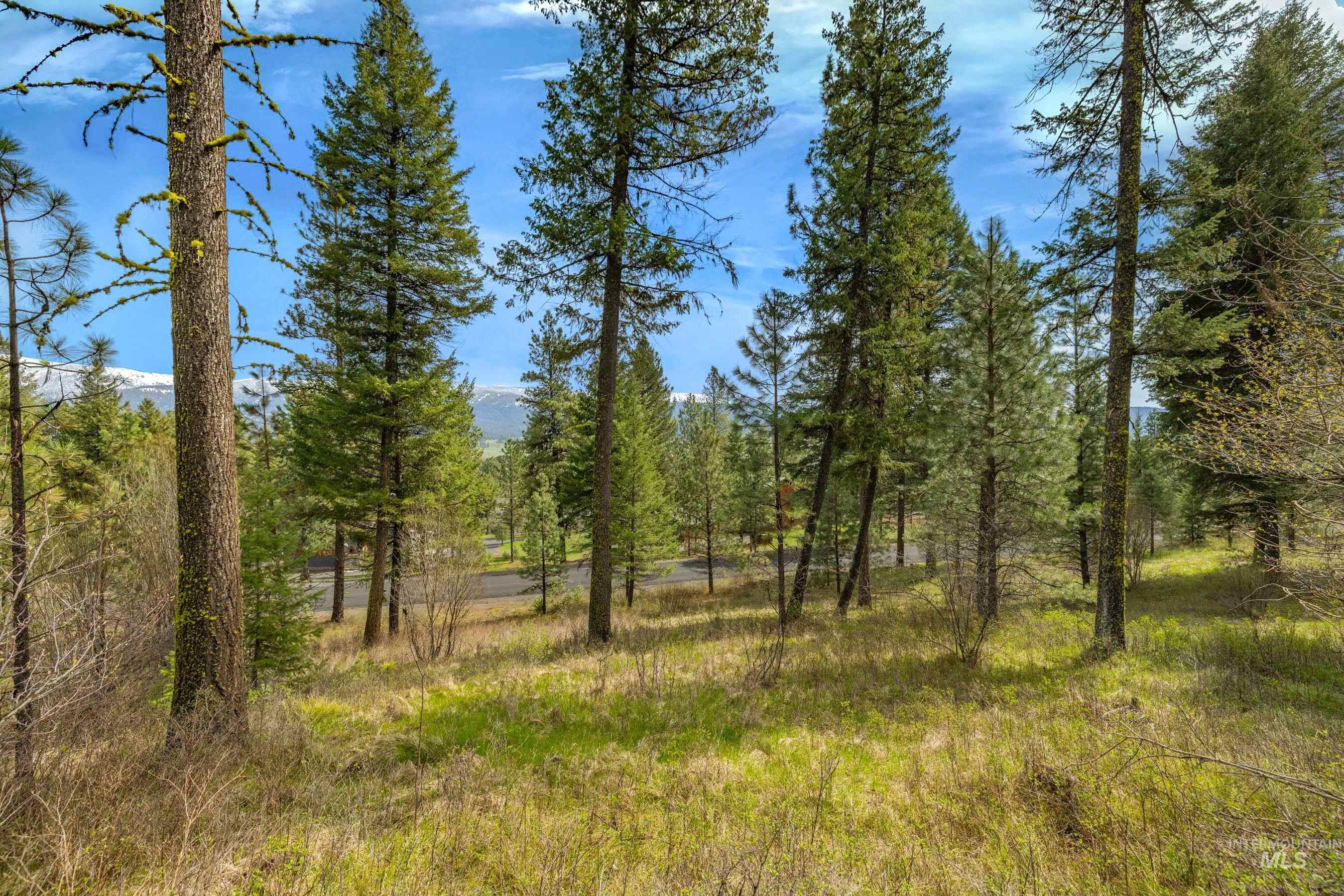L5B28 Sorrel Dr, New Meadows, Idaho 83654, Land For Sale, Price $149,900,MLS 98982873
